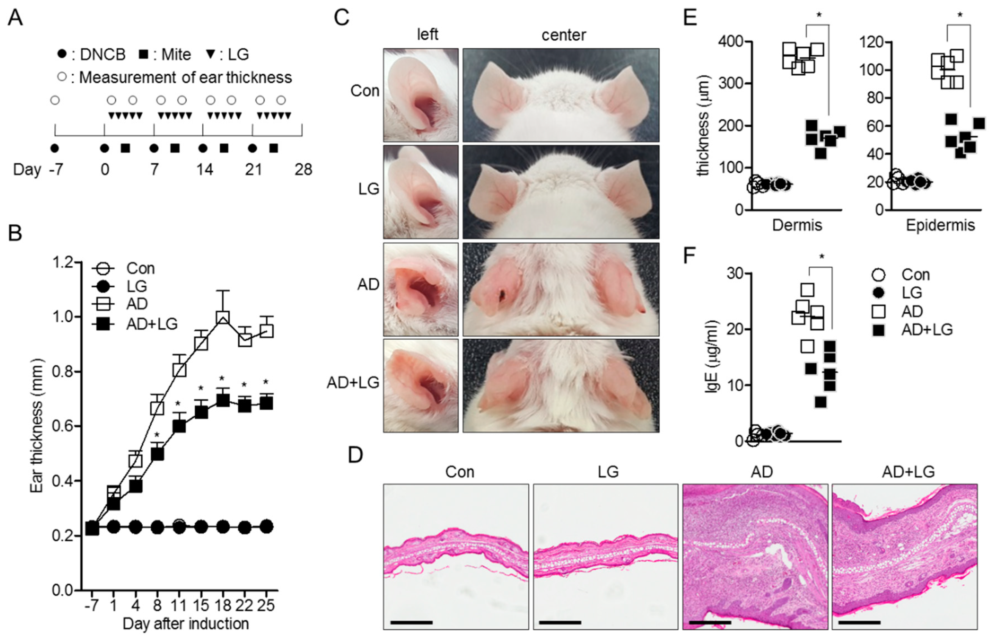 Biomolecules 10 00786 g006 Biomolecules 10 00786 g006