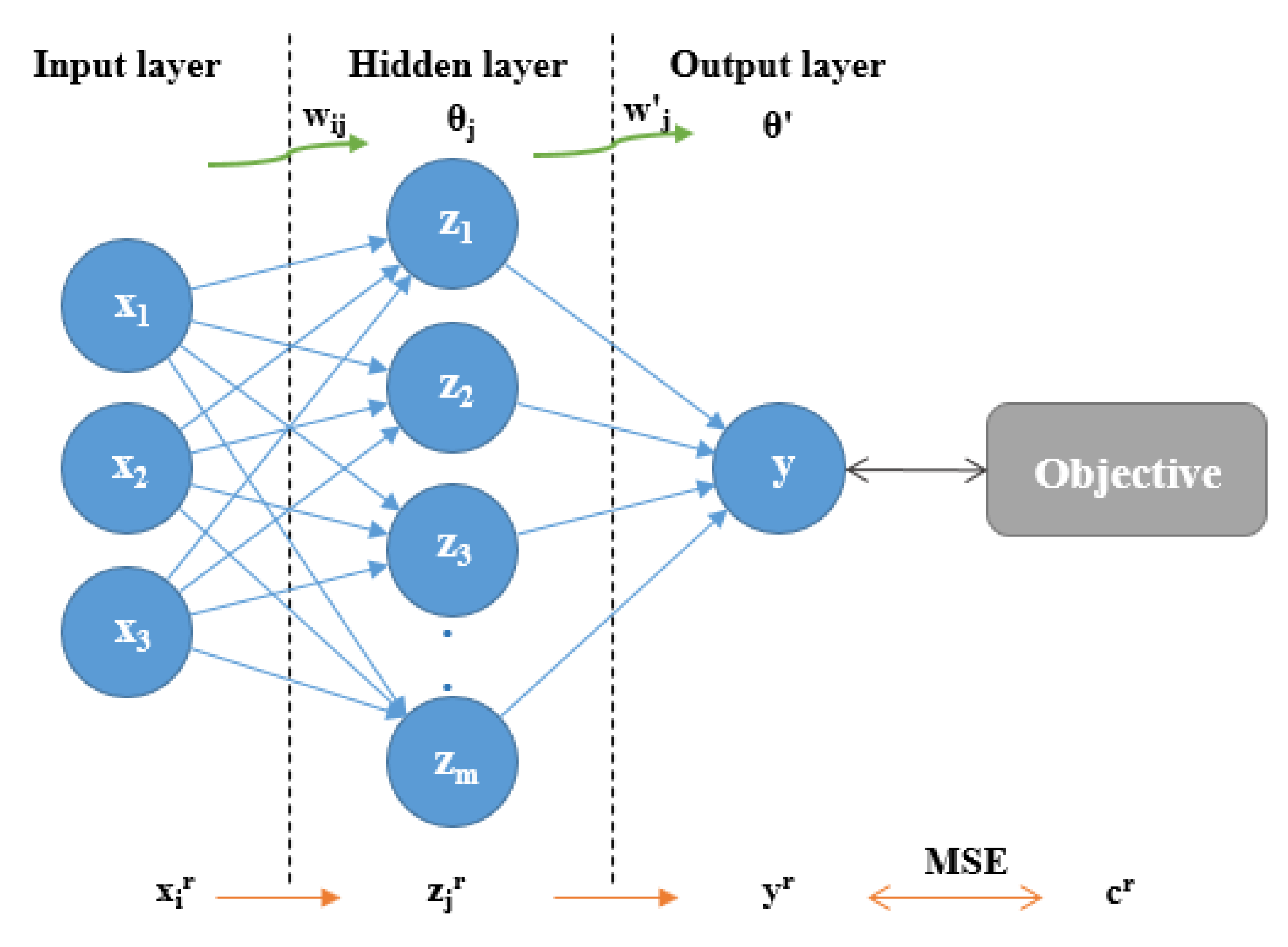 Biomolecules 10 00787 g001 Biomolecules 10 00787 g001