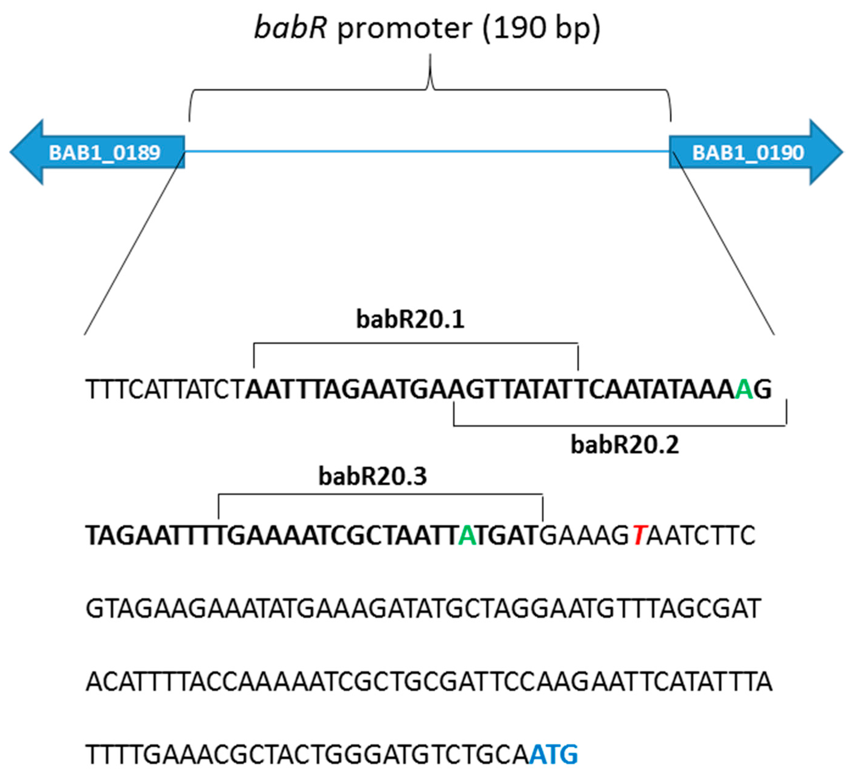 Biomolecules 10 00788 g001 Biomolecules 10 00788 g001