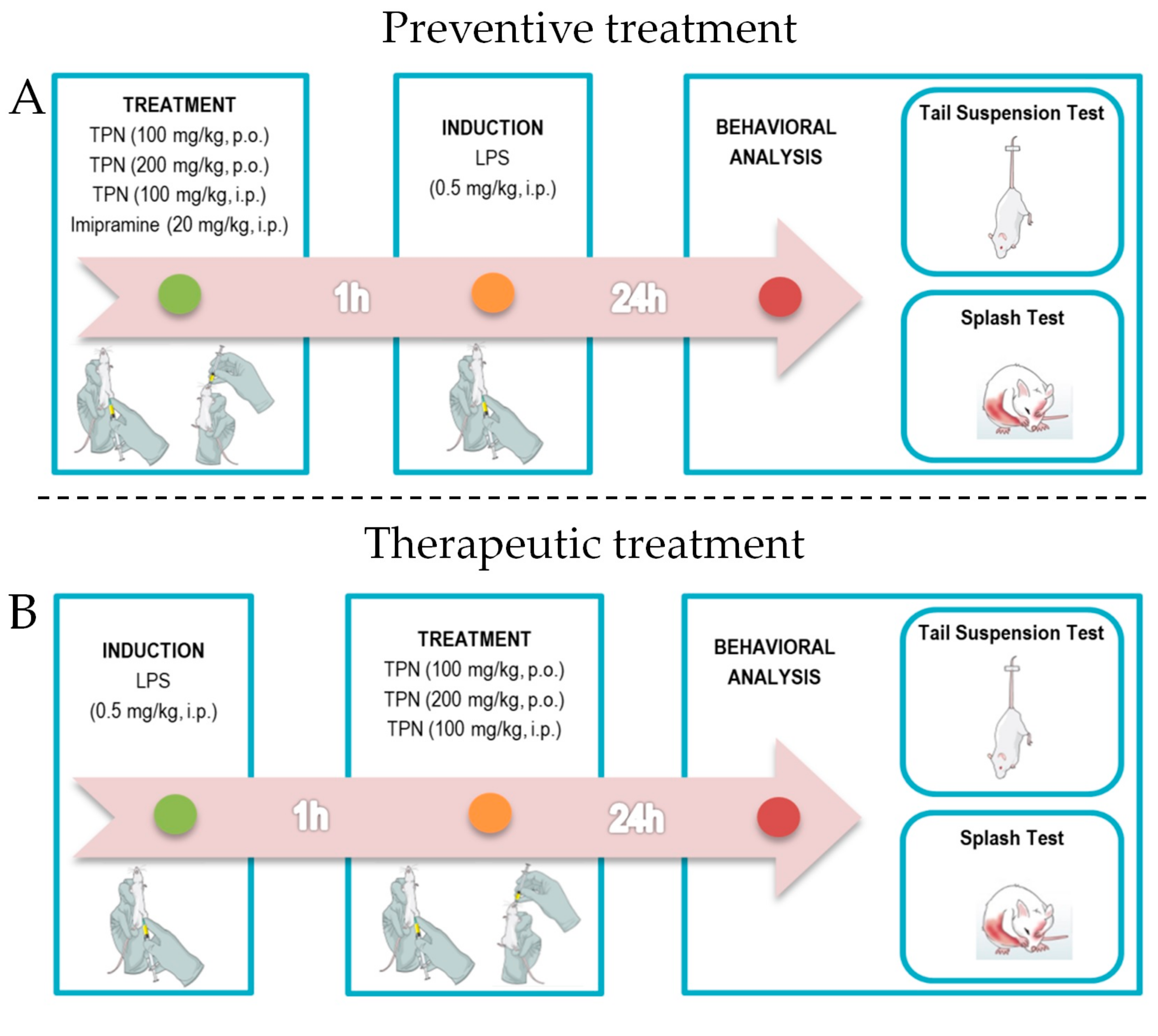 Biomolecules 10 00792 g001a