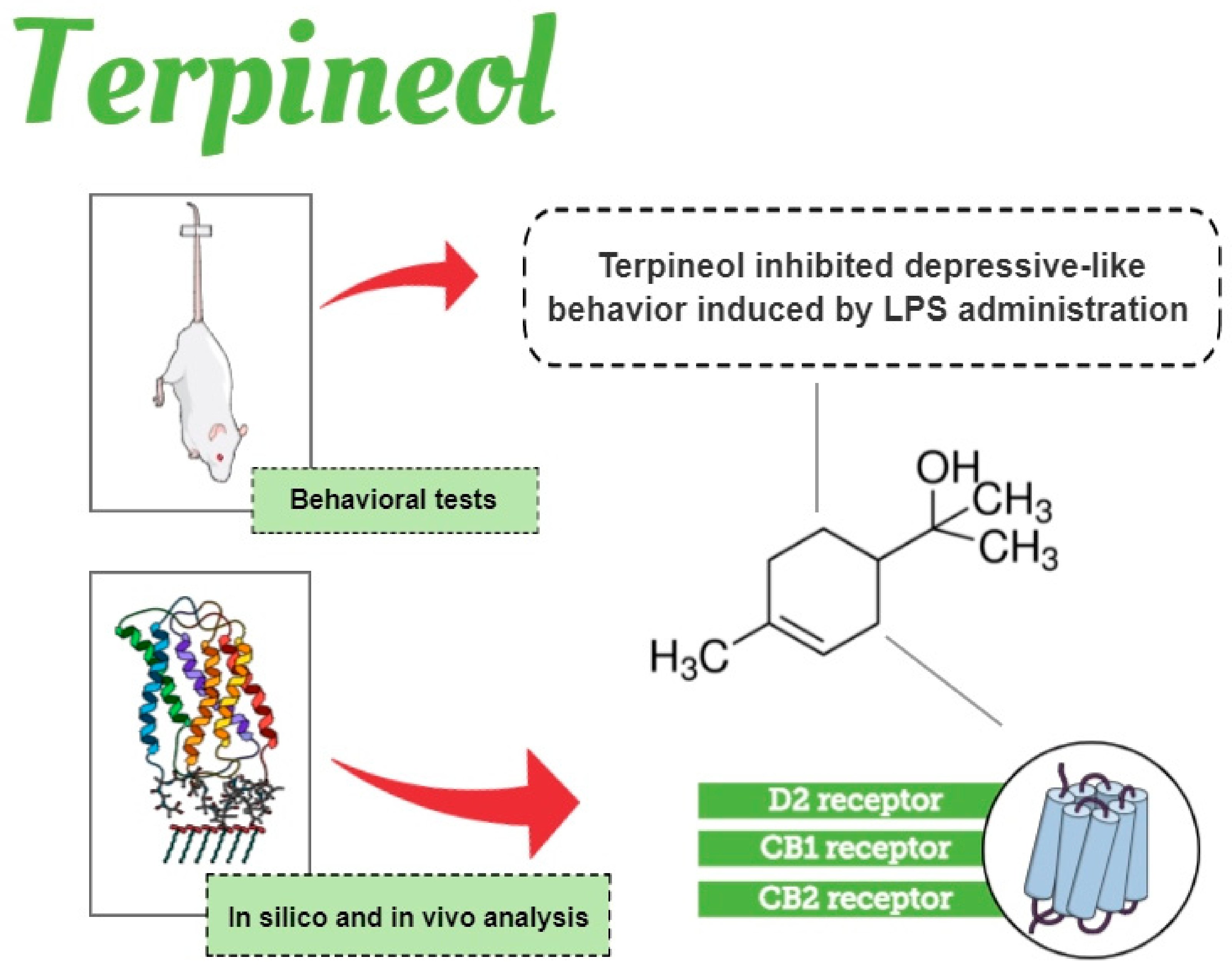 Biomolecules 10 00792 g008