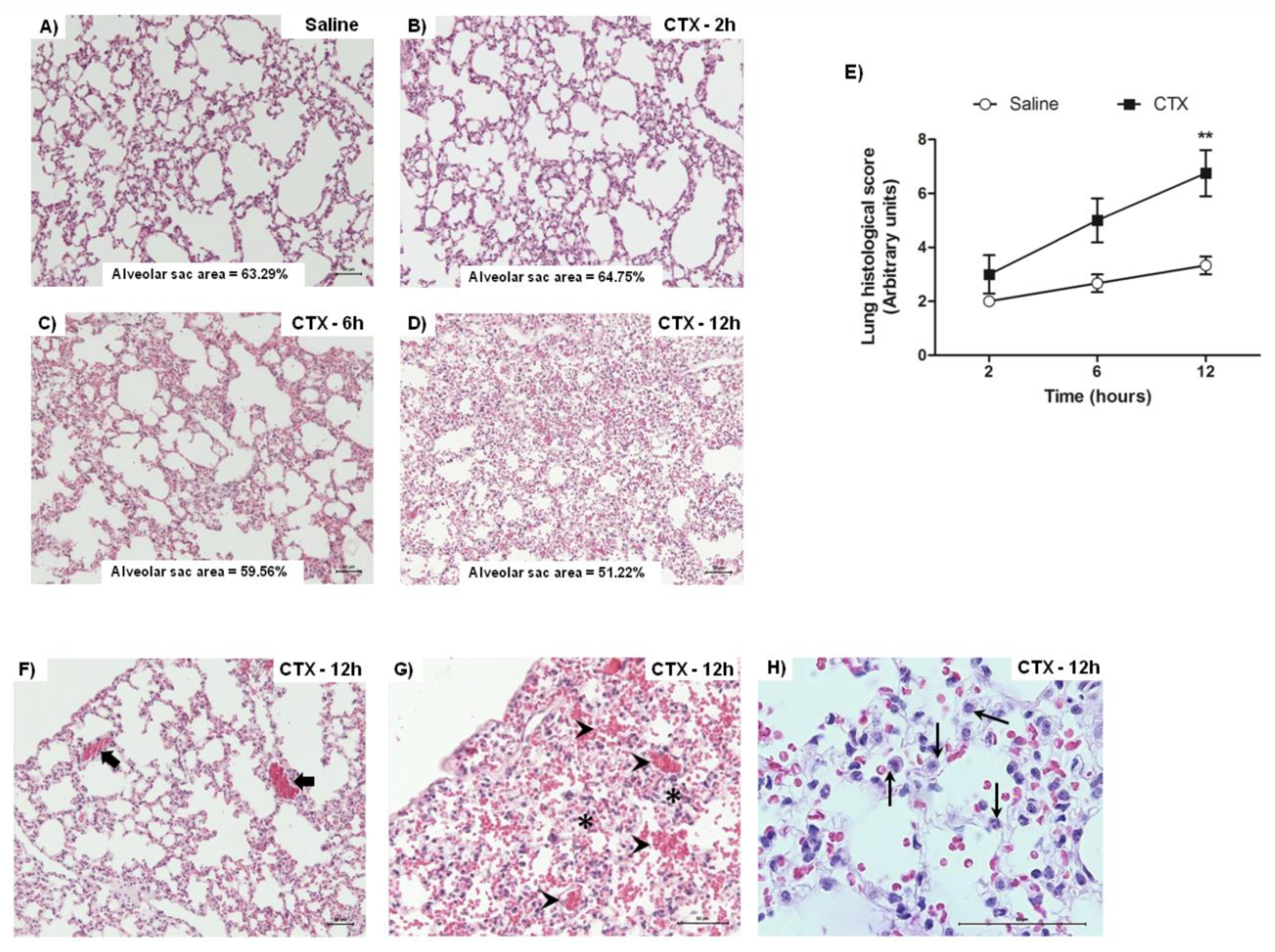 Biomolecules 10 00794 g002 Biomolecules 10 00794 g002