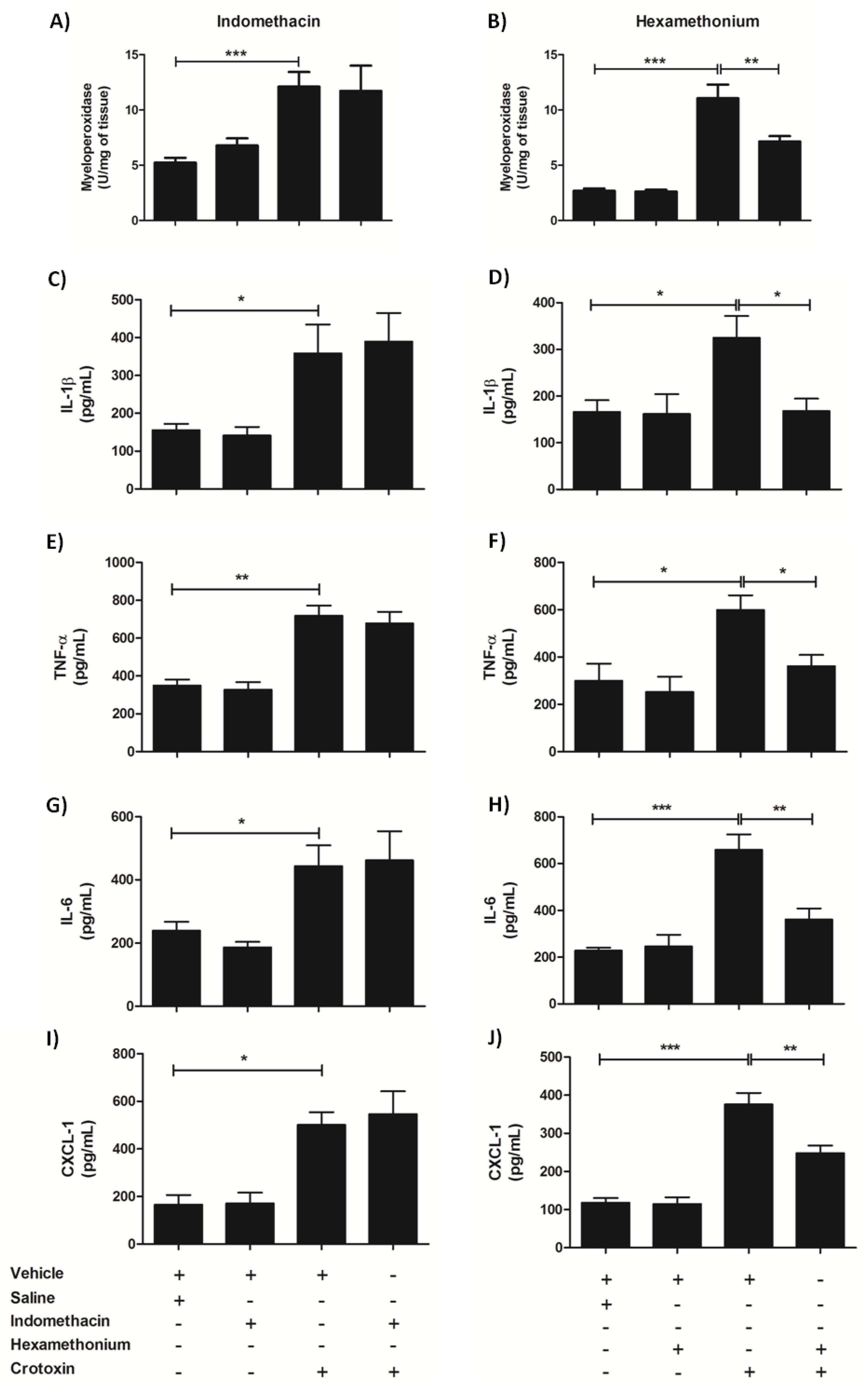Biomolecules 10 00794 g008 Biomolecules 10 00794 g008
