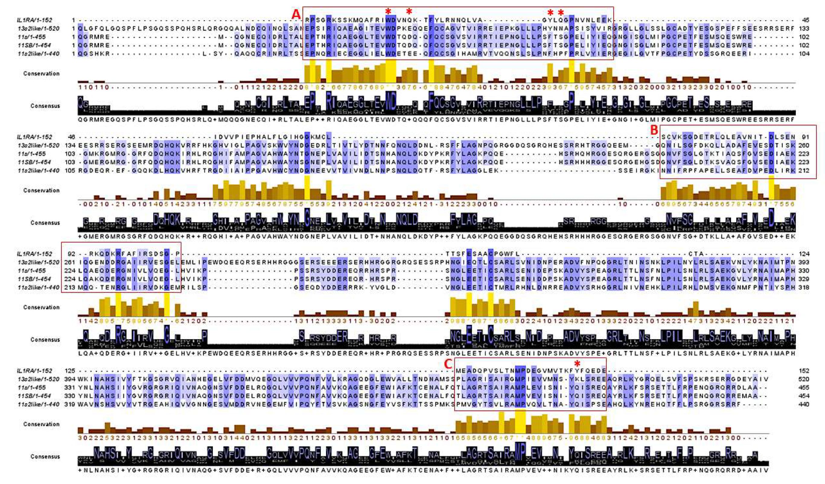 Biomolecules 10 00795 g006 Biomolecules 10 00795 g006