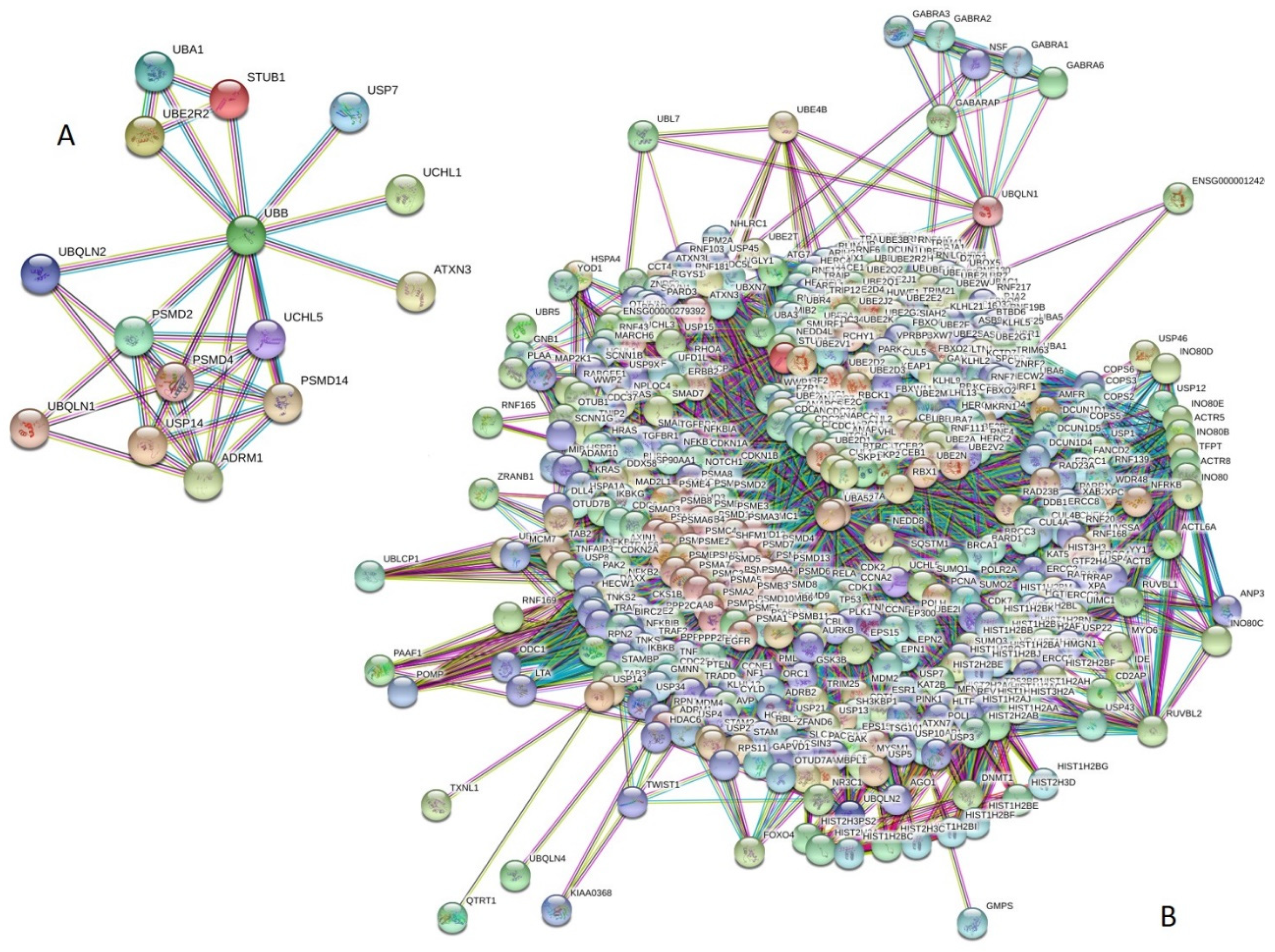 Biomolecules 10 00796 g003