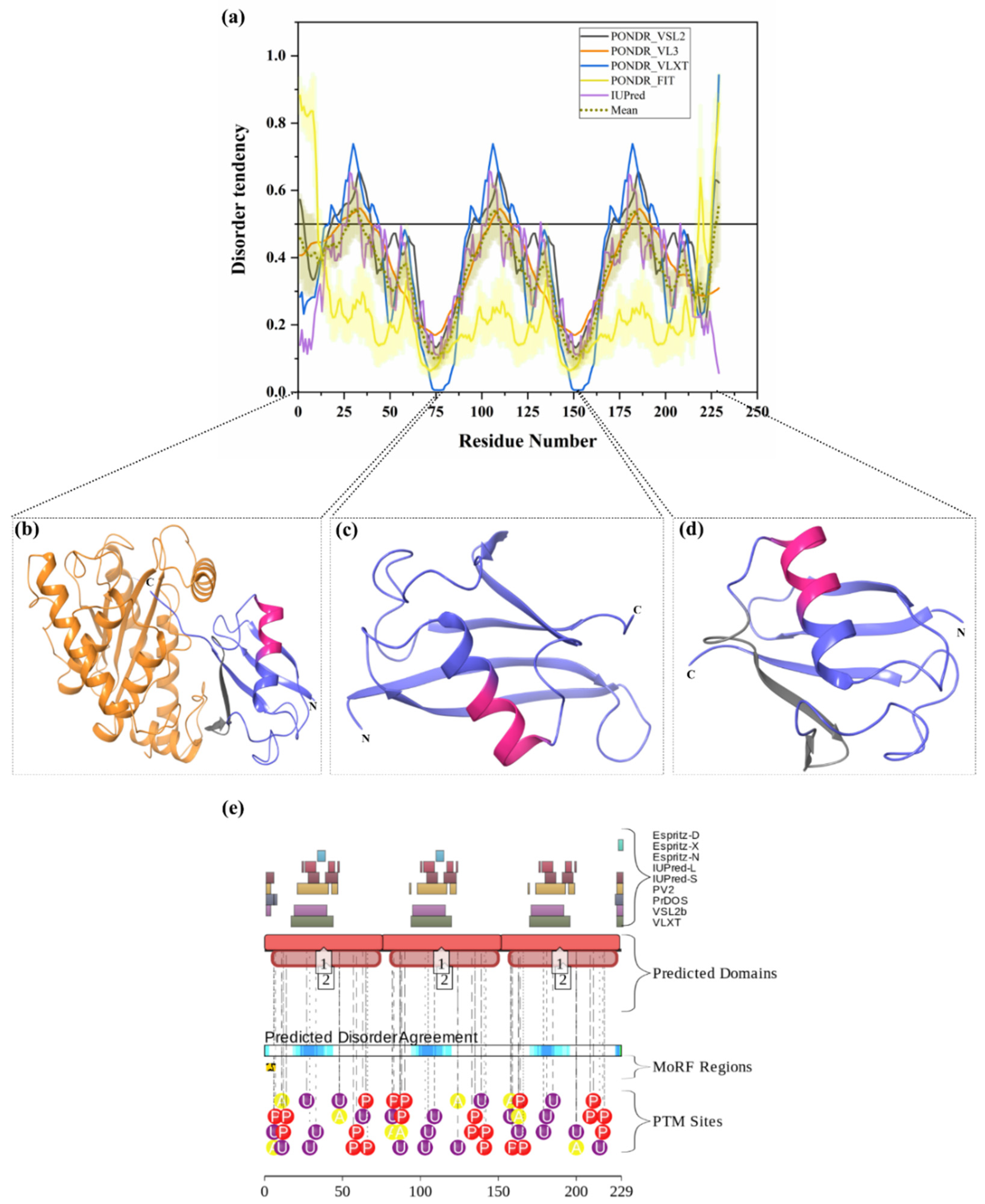 Biomolecules 10 00796 g005