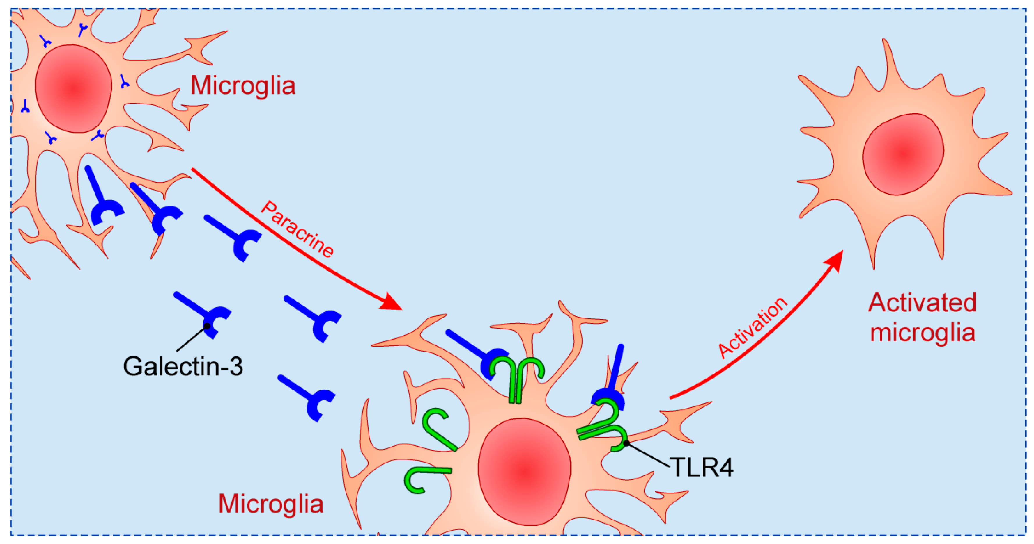 Biomolecules 10 00798 g002