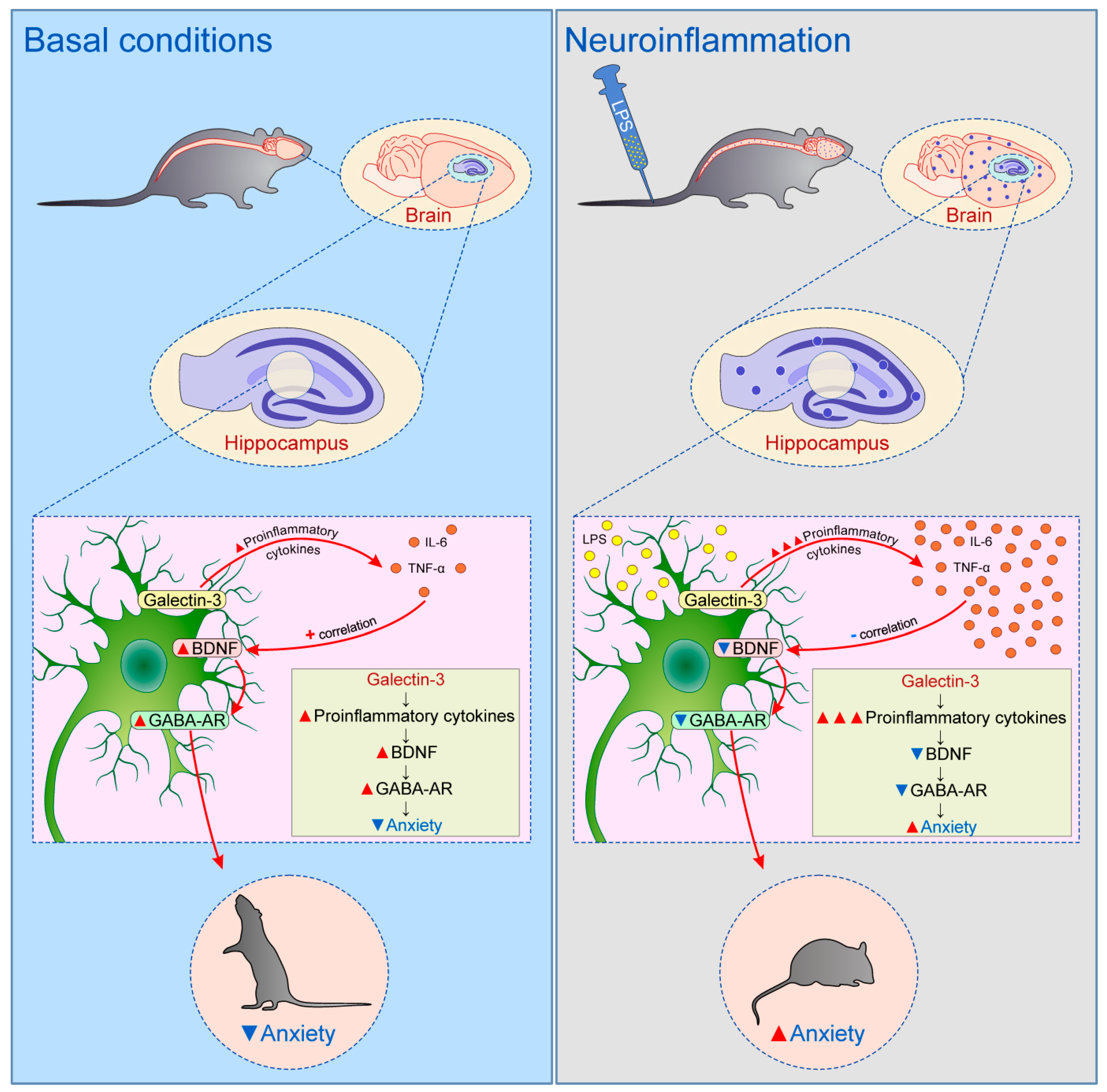 Biomolecules 10 00798 g003