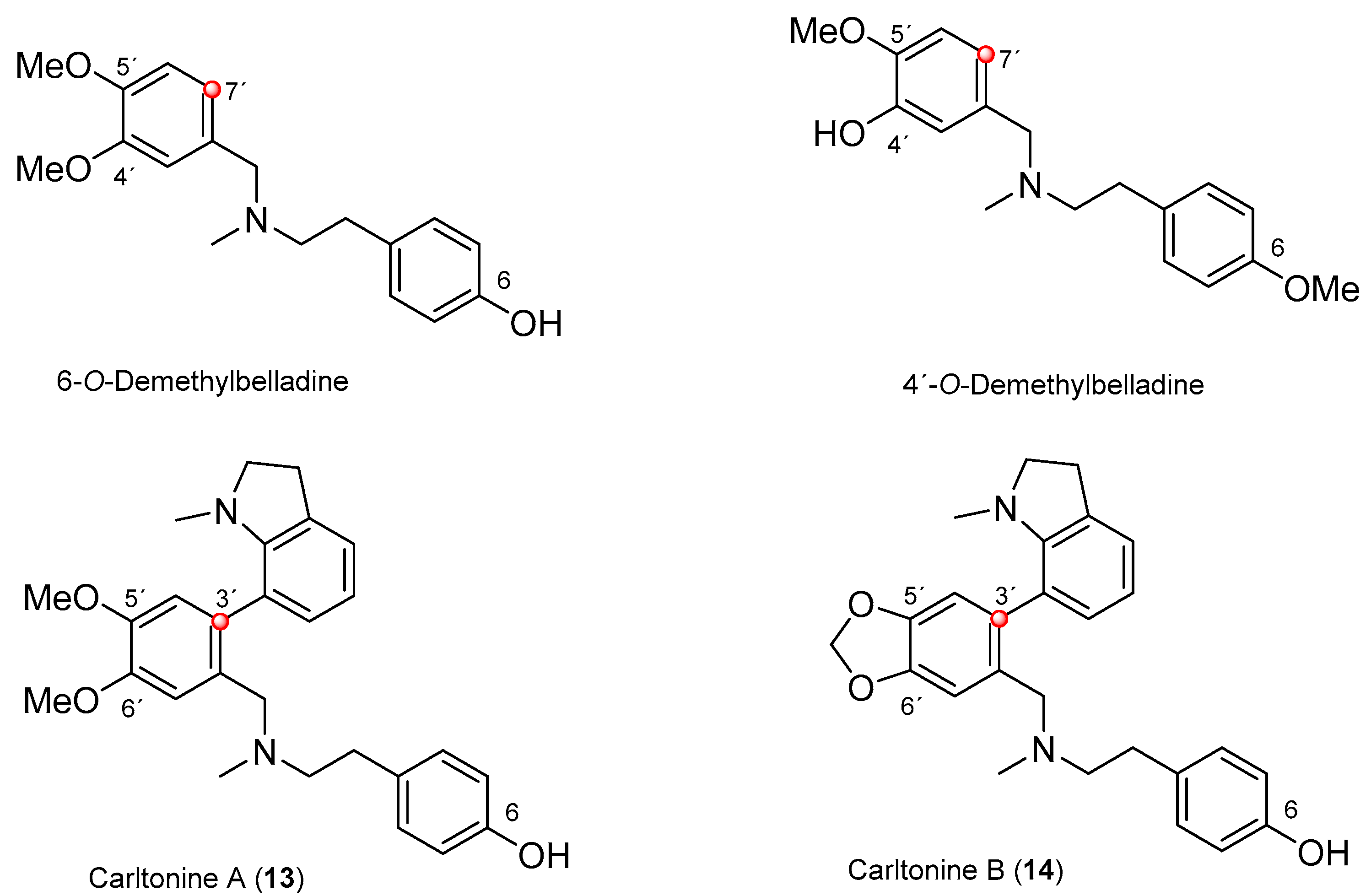 Biomolecules 10 00800 g003