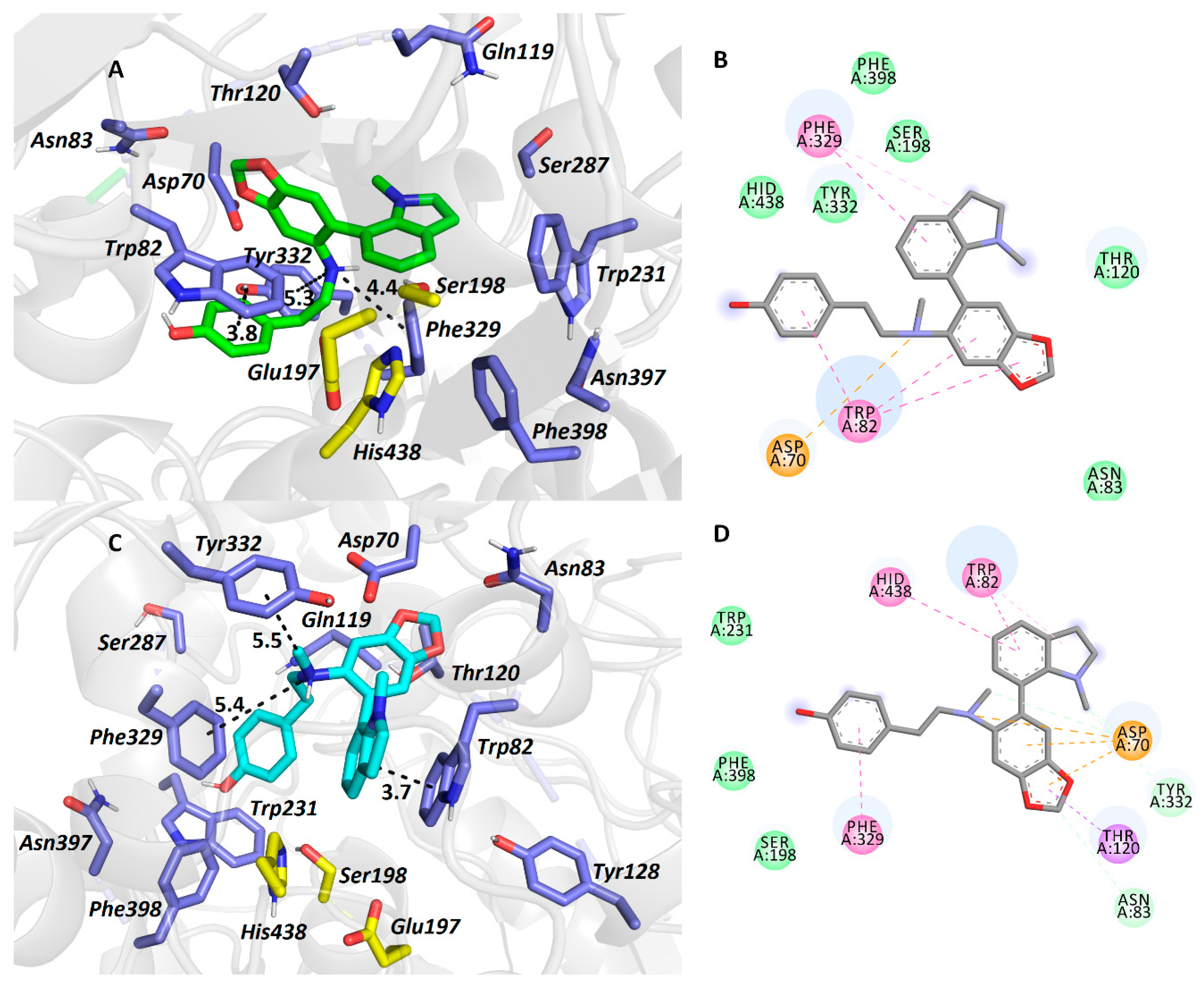 Biomolecules 10 00800 g005