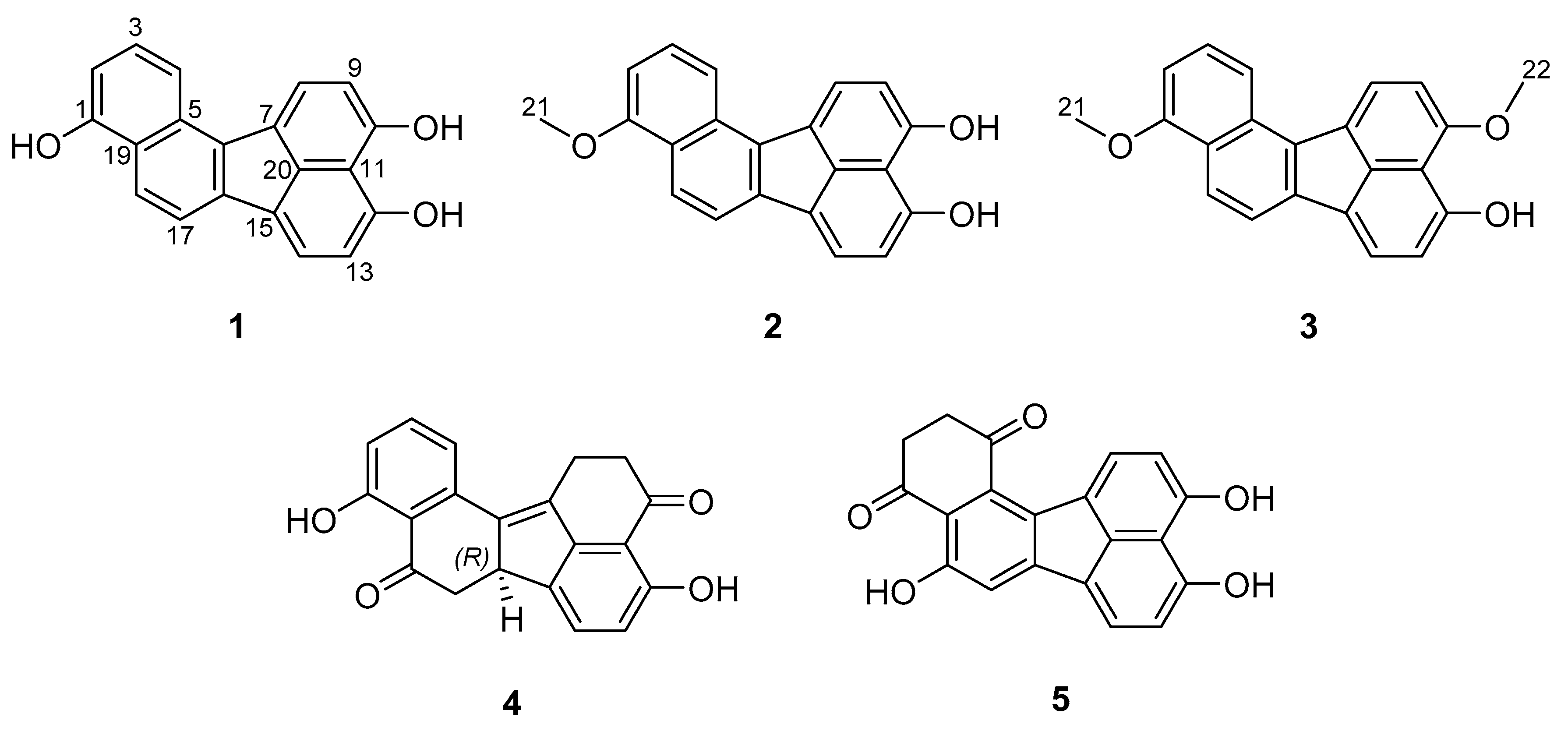Biomolecules 10 00805 g001 Biomolecules 10 00805 g001