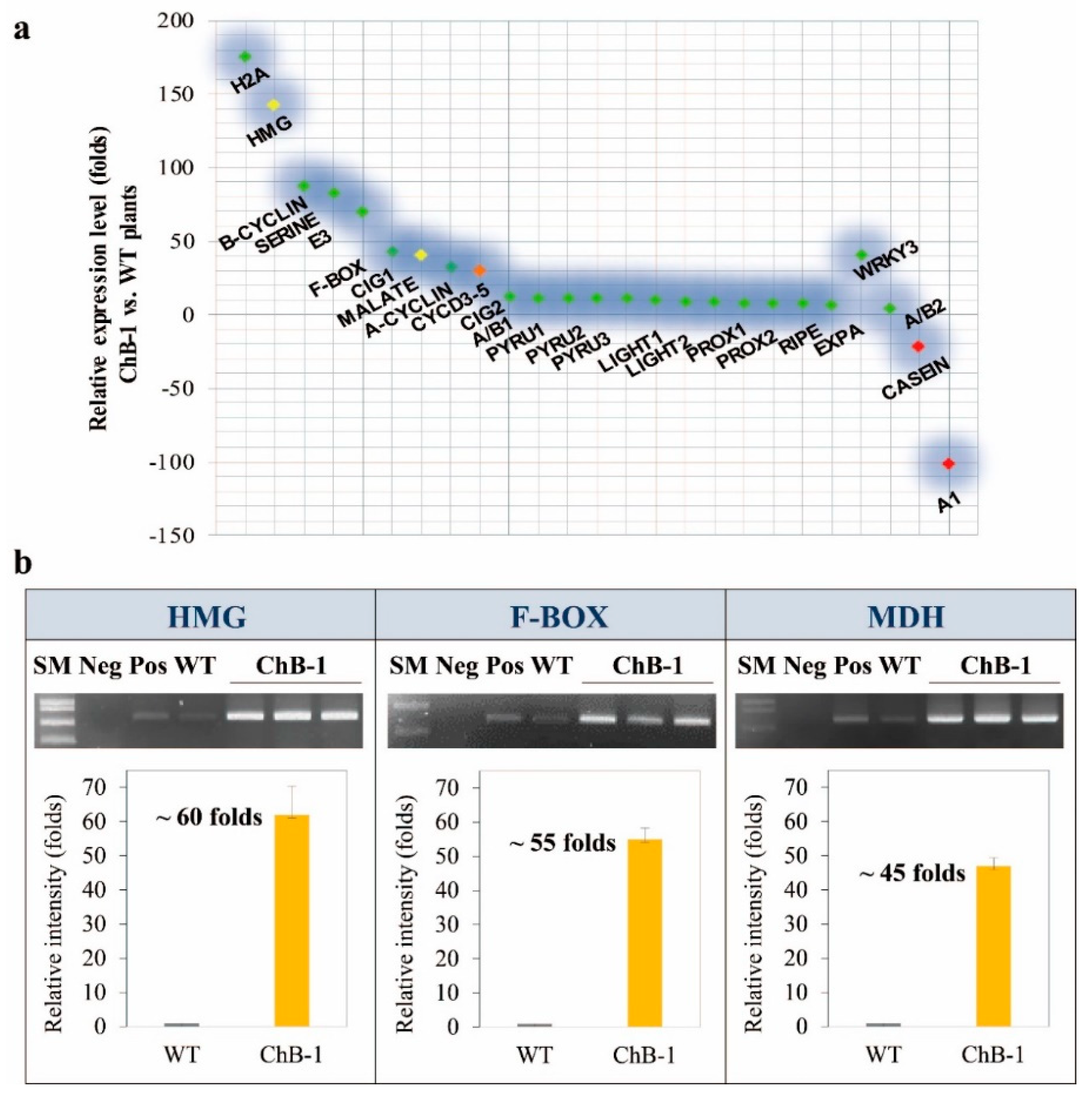 Biomolecules 10 00806 g003 Biomolecules 10 00806 g003