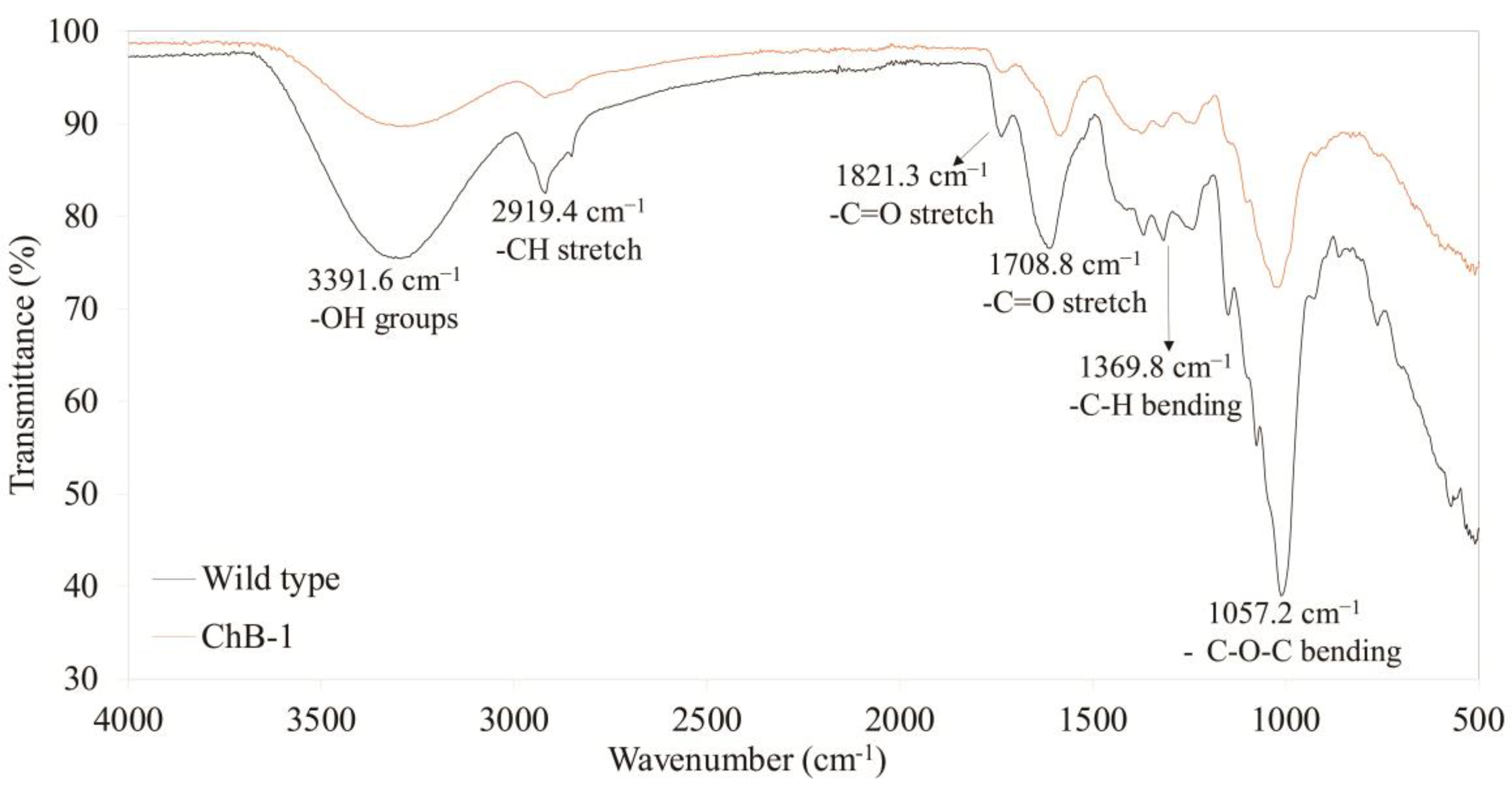 Biomolecules 10 00806 g006 Biomolecules 10 00806 g006