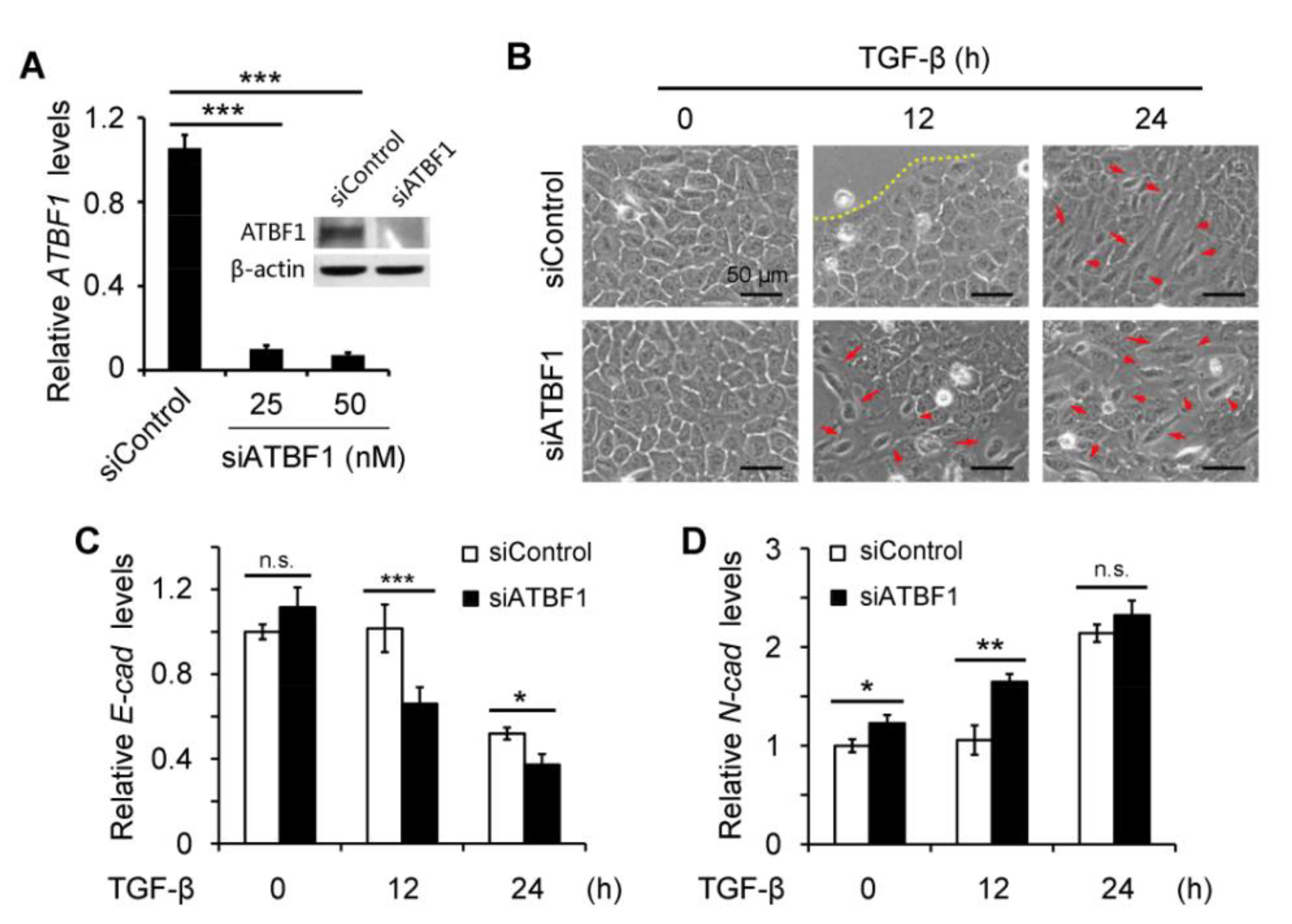Biomolecules 10 00807 g002 Biomolecules 10 00807 g002