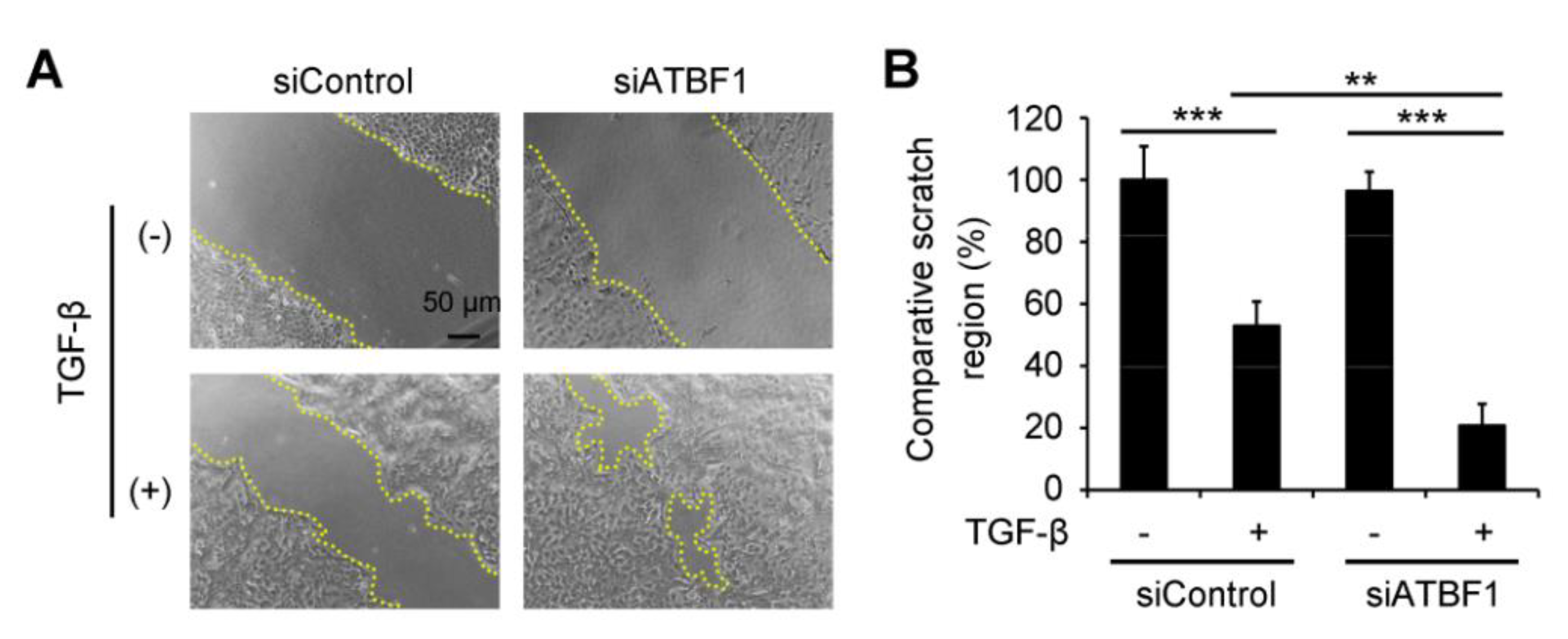 Biomolecules 10 00807 g003 Biomolecules 10 00807 g003