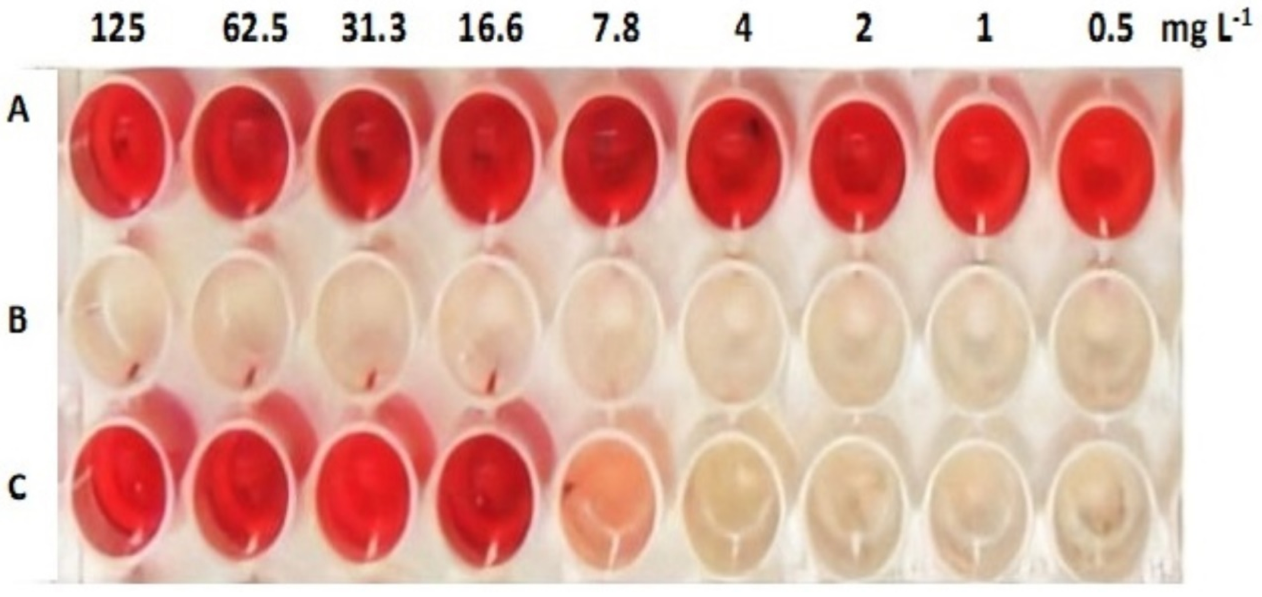Biomolecules 10 00811 g005 Biomolecules 10 00811 g005