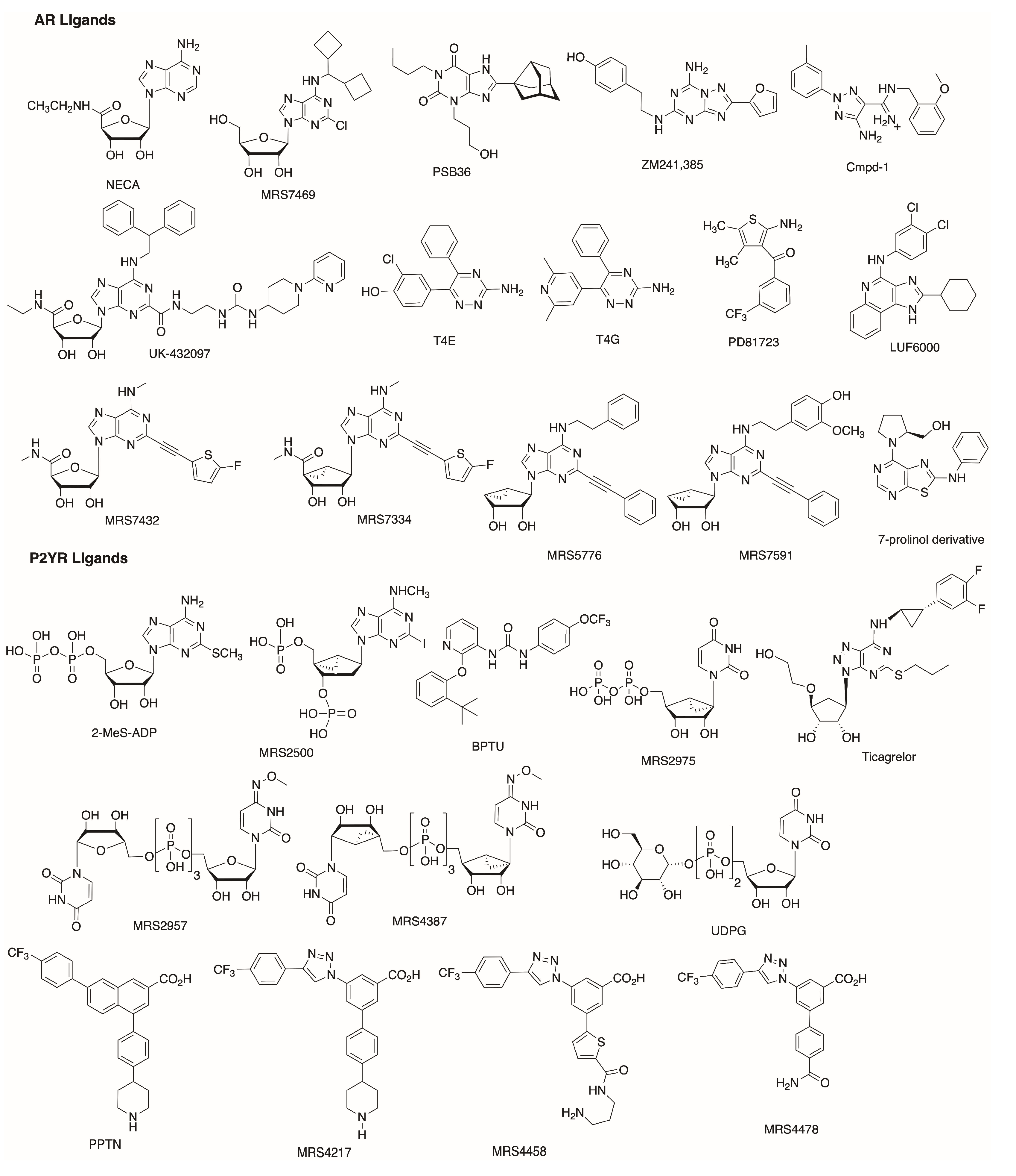 Biomolecules 10 00812 g001