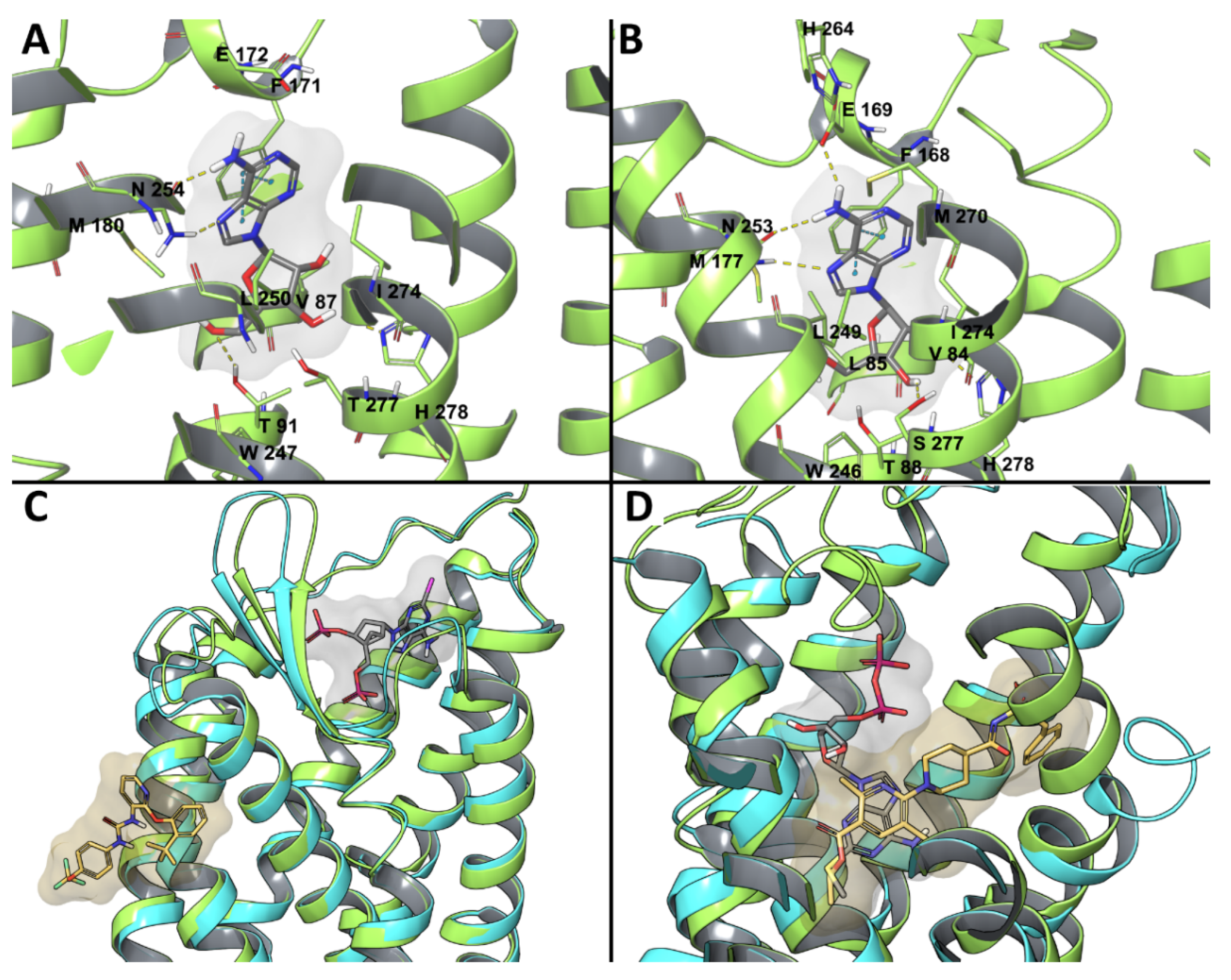 Biomolecules 10 00812 g002