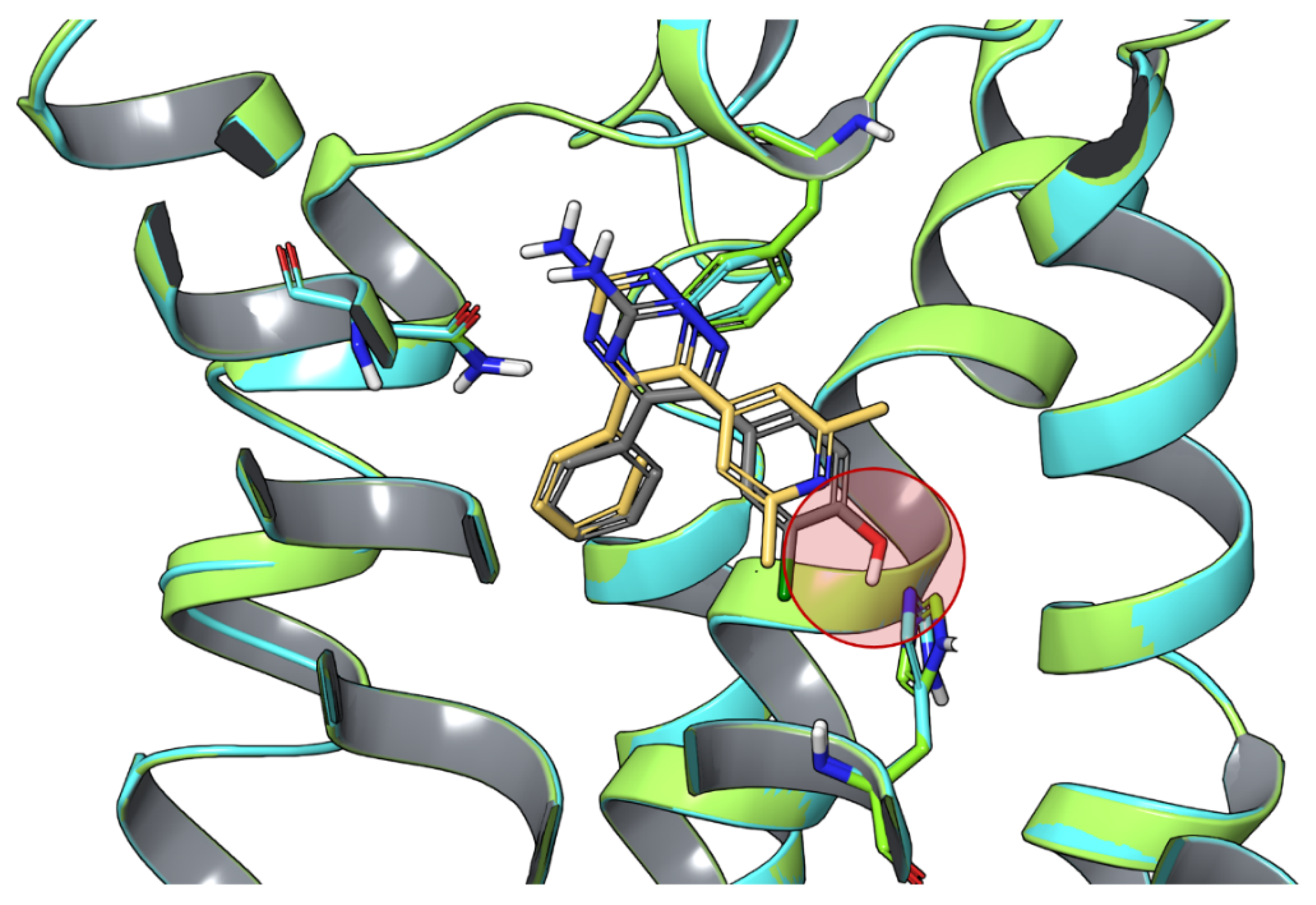 Biomolecules 10 00812 g004