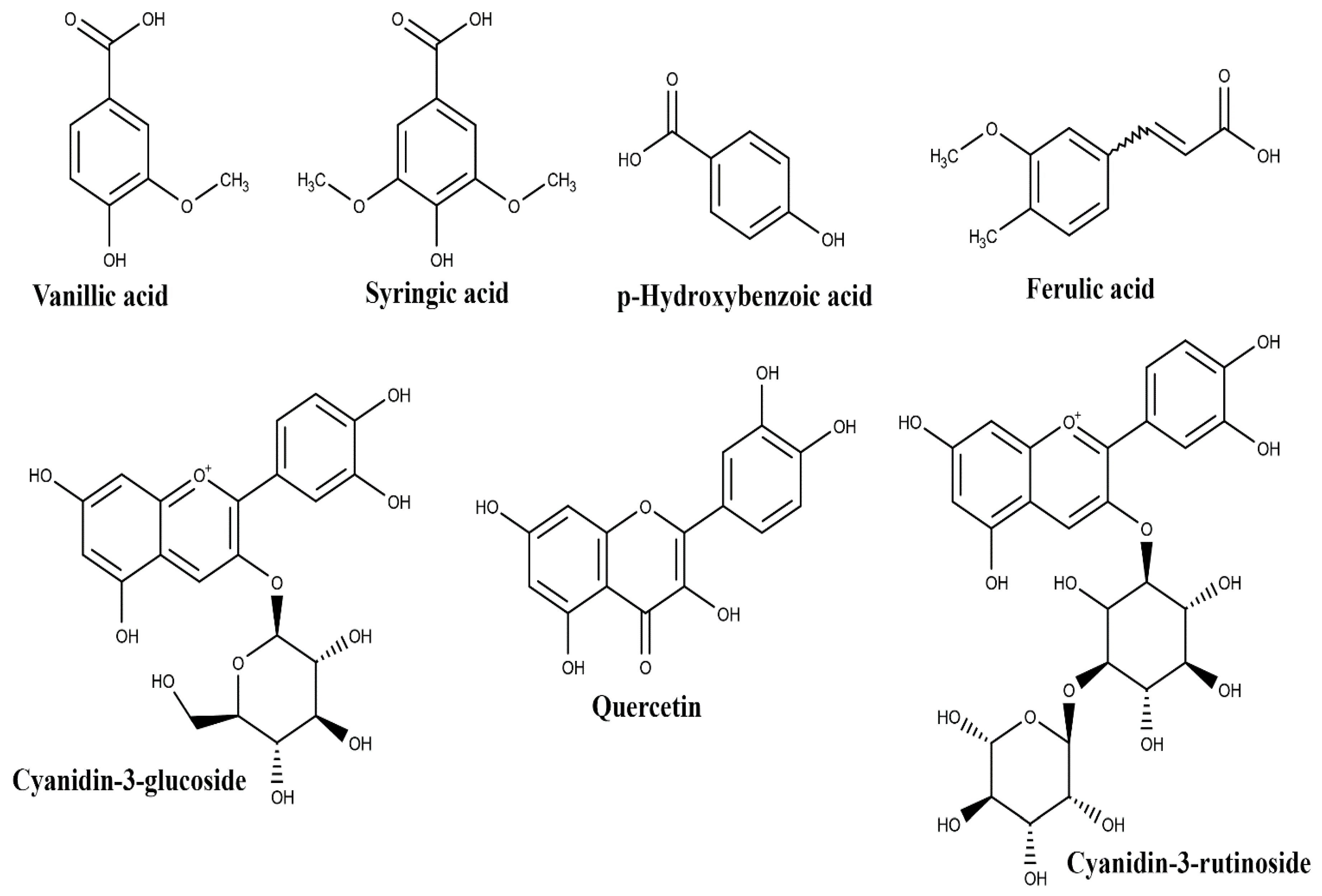 Biomolecules 10 00813 g001