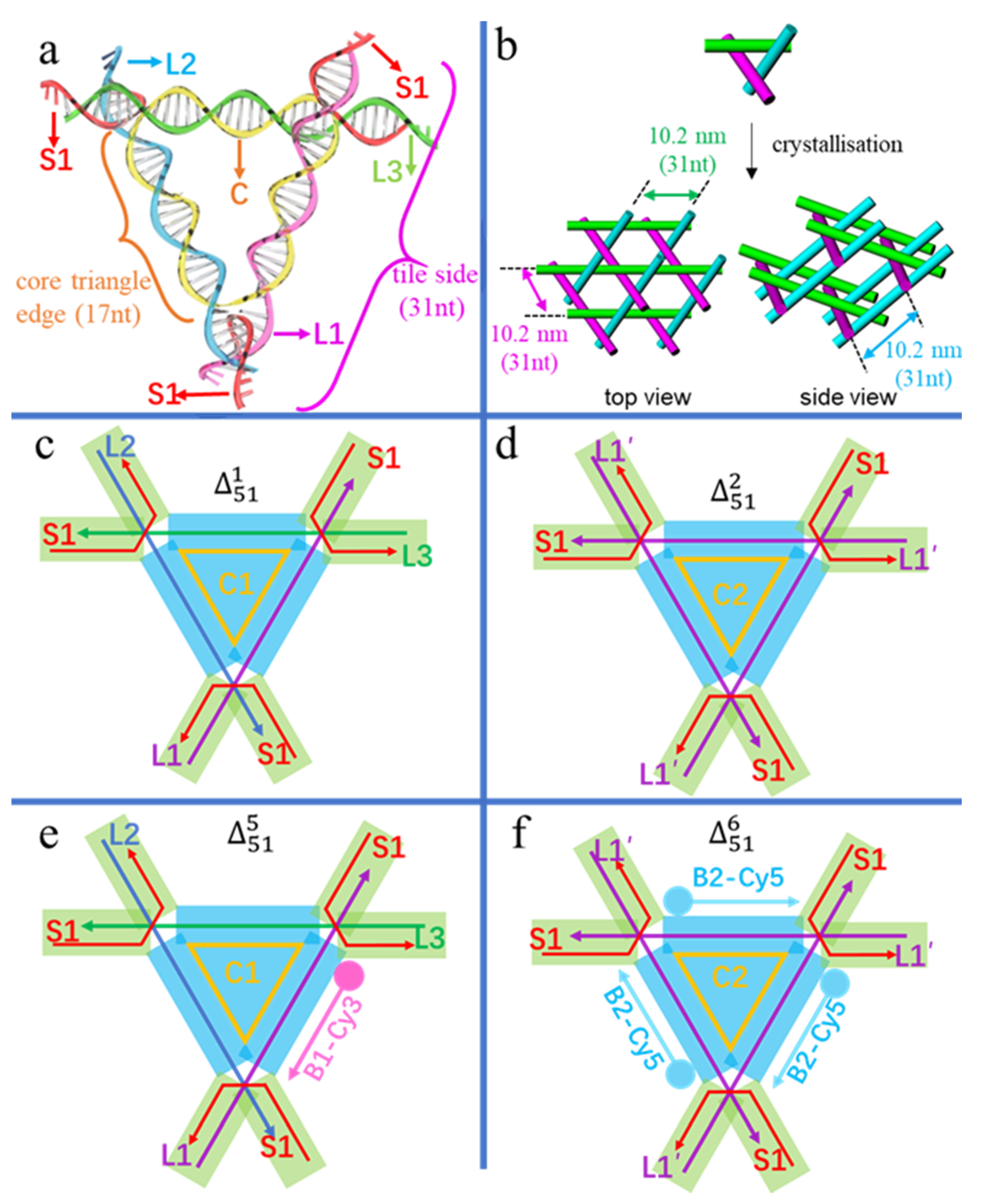Biomolecules 10 00814 g001