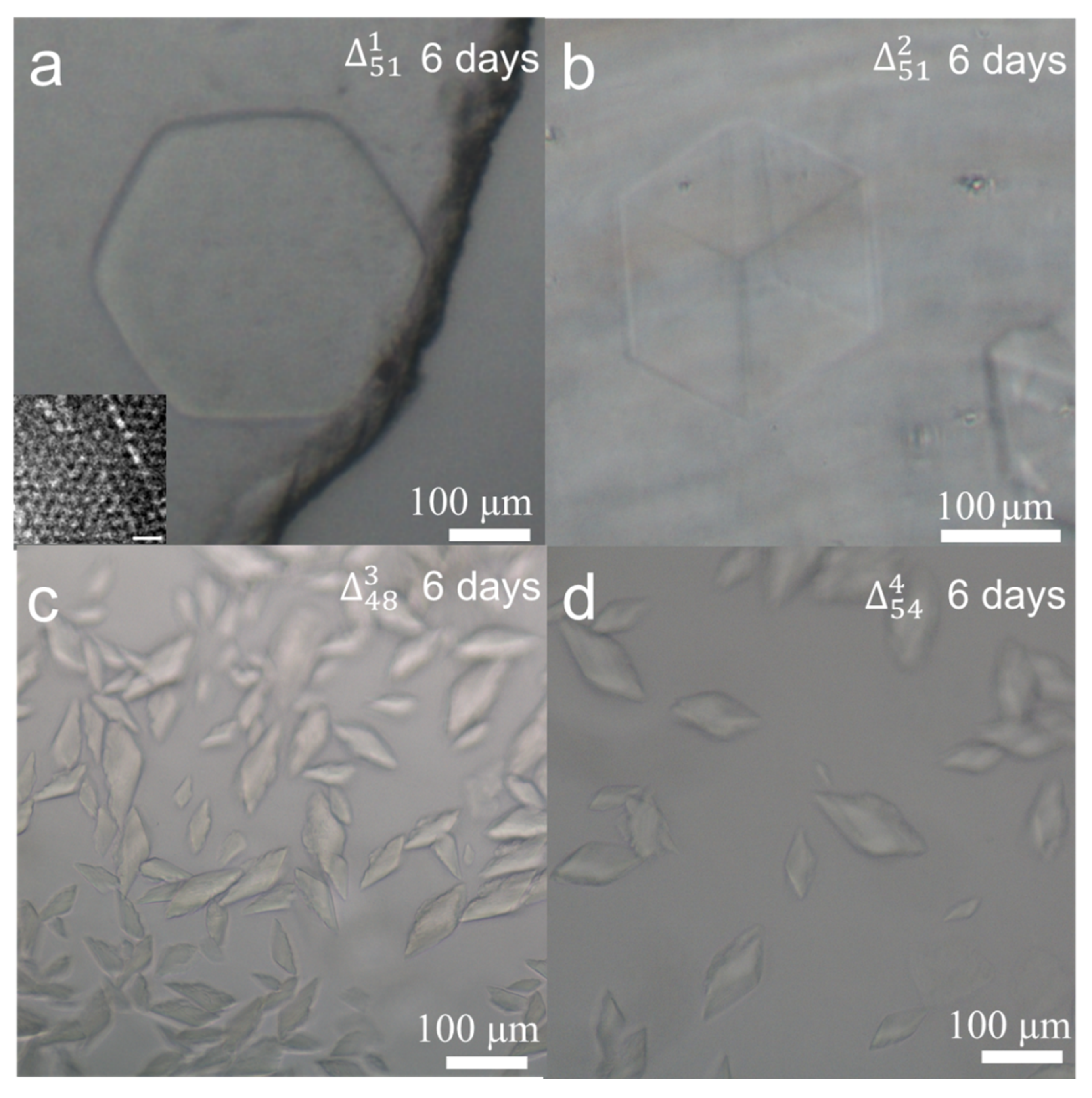 Biomolecules 10 00814 g002