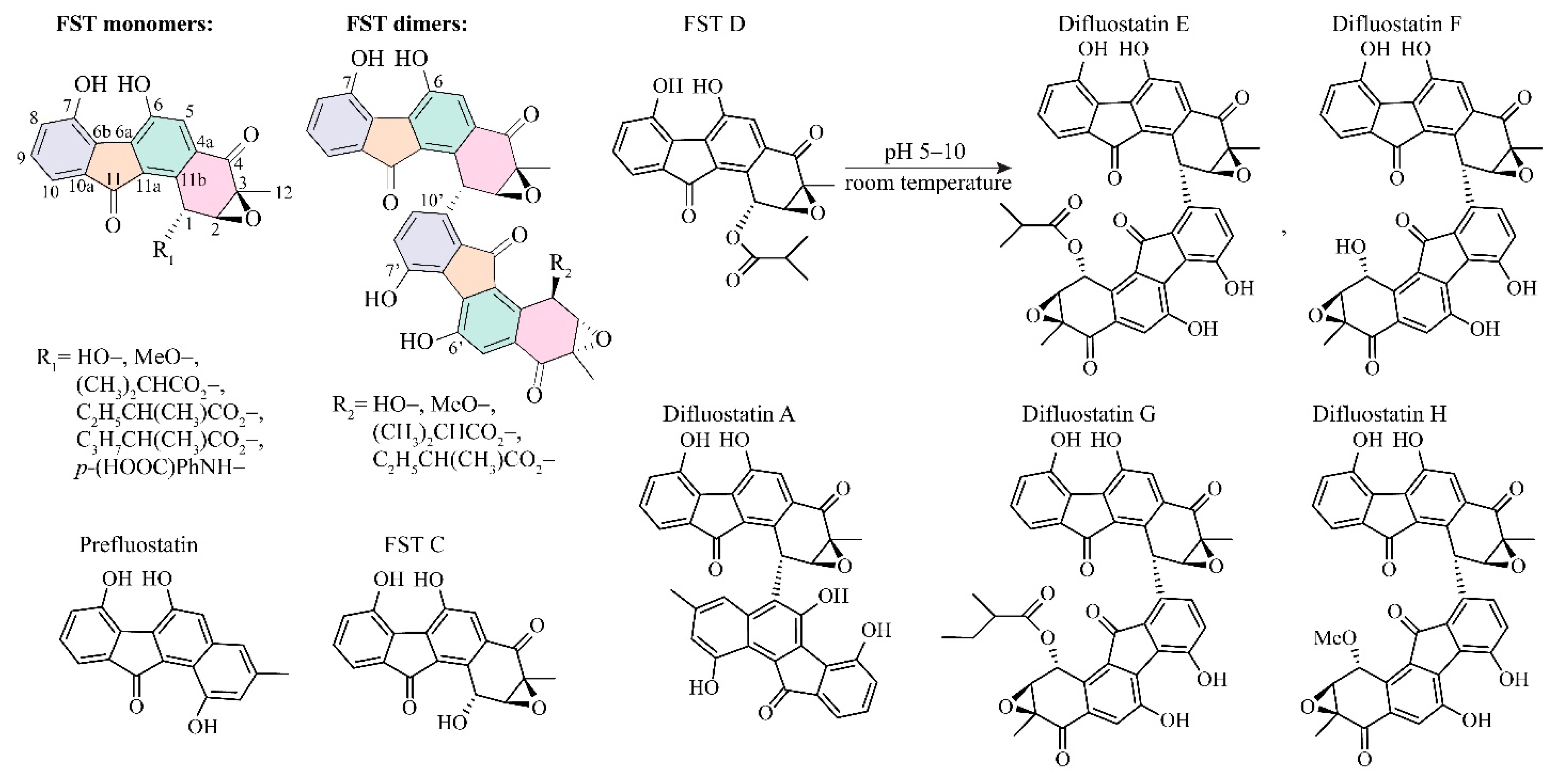 Biomolecules 10 00815 g001