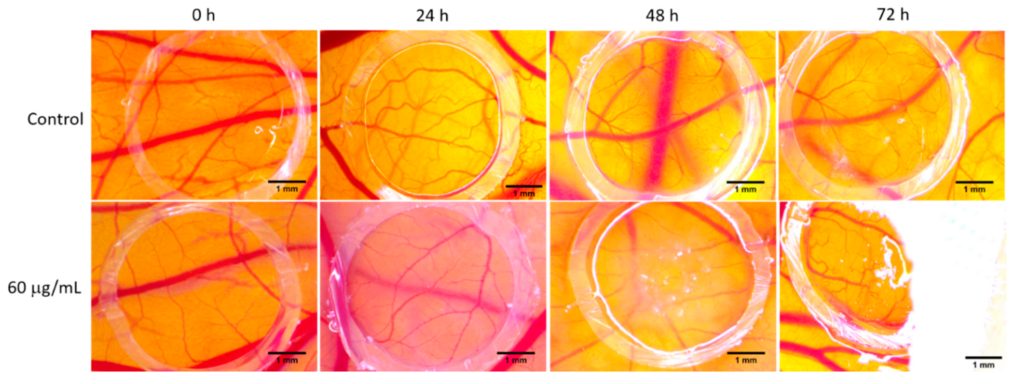 Biomolecules 10 00818 g007