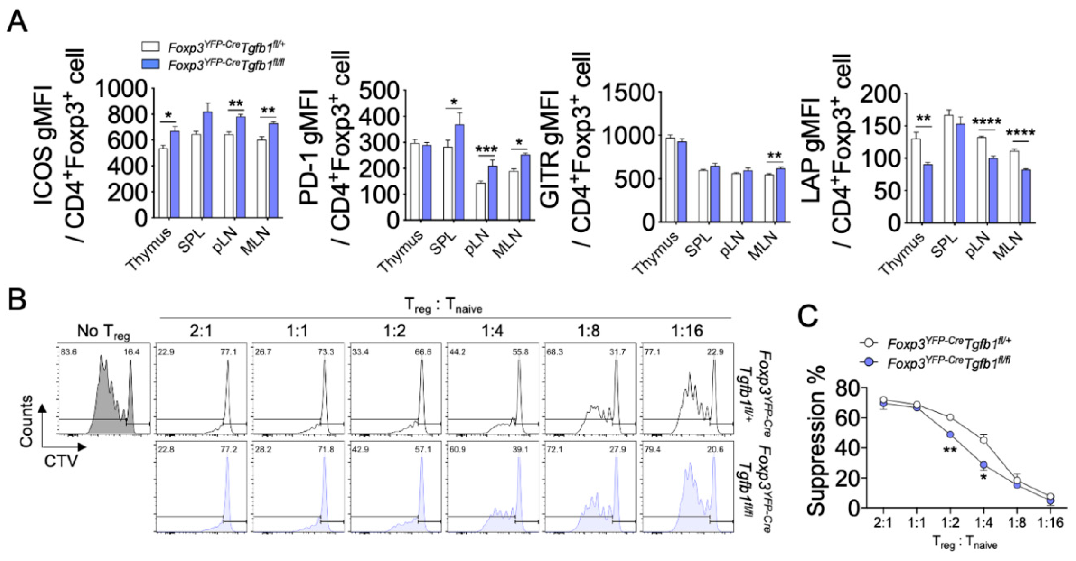 Biomolecules 10 00819 g002