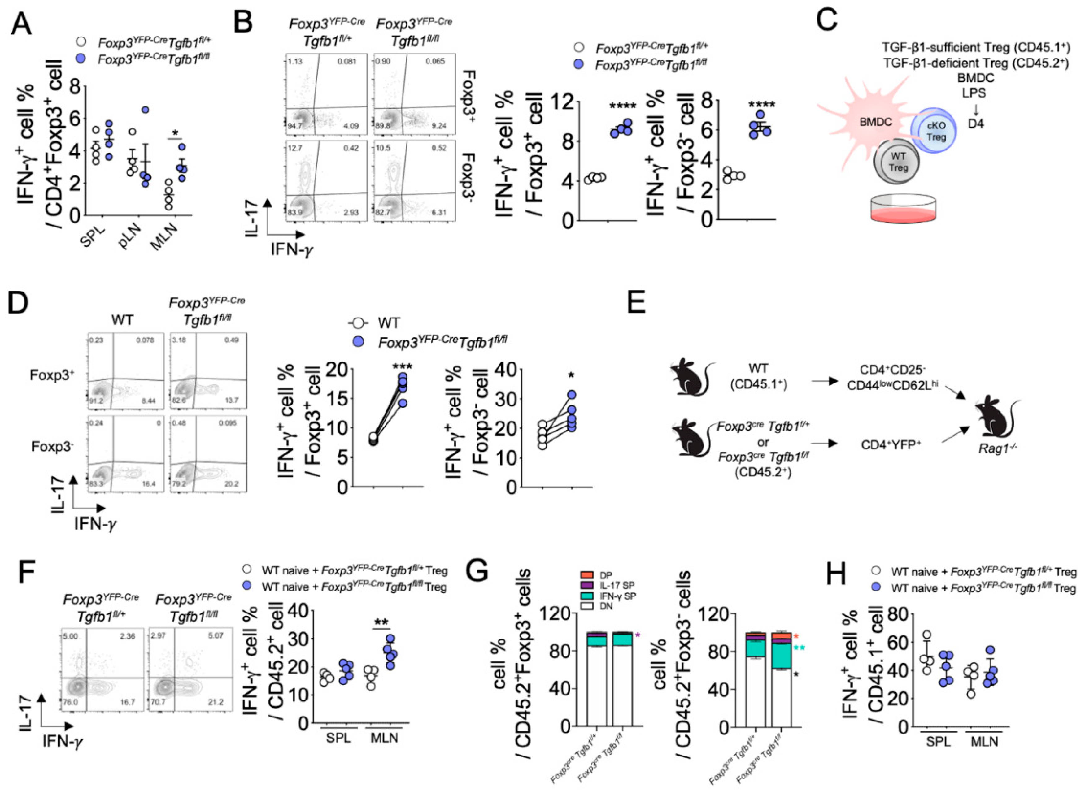 Biomolecules 10 00819 g003