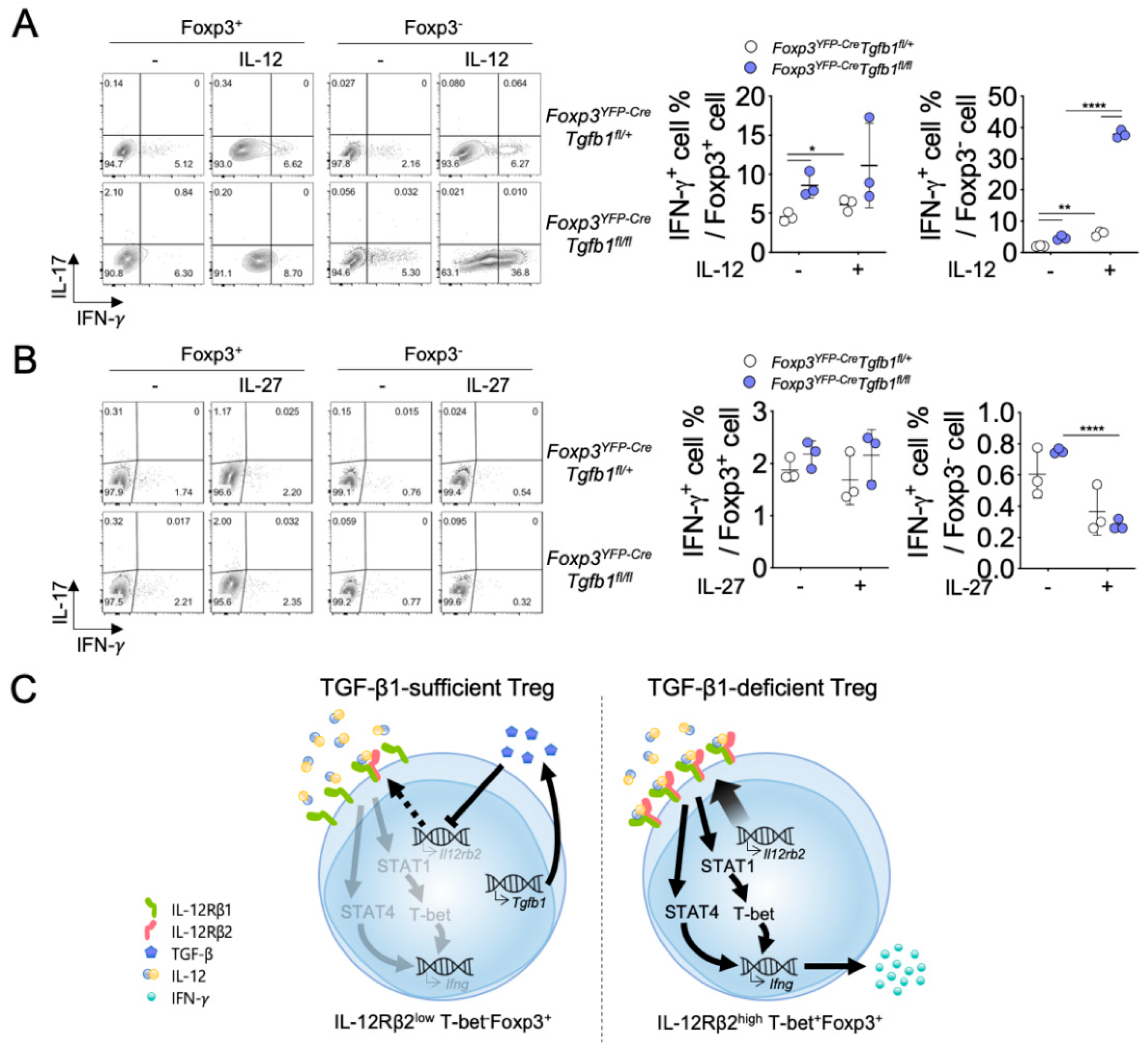 Biomolecules 10 00819 g005