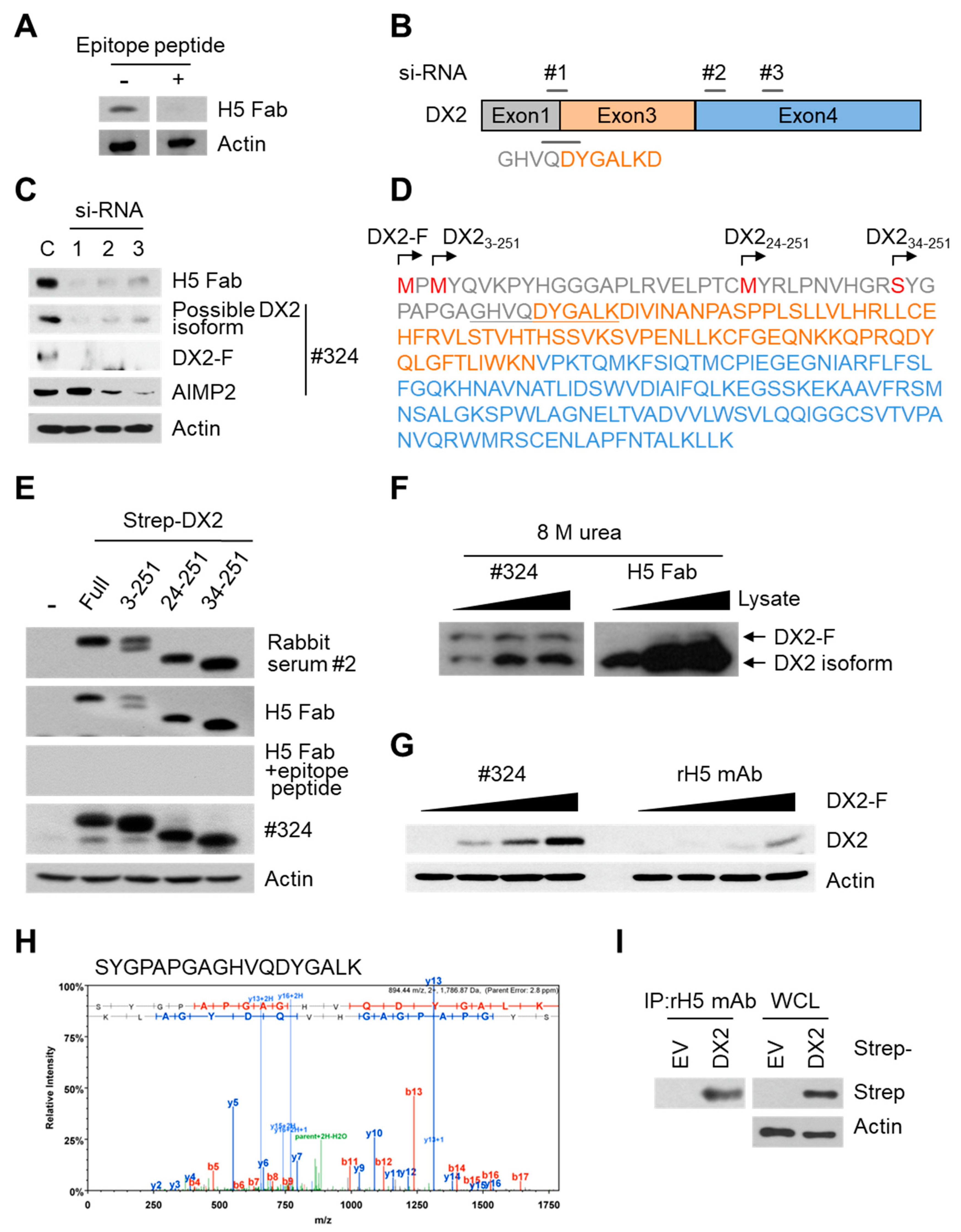 Biomolecules 10 00820 g002