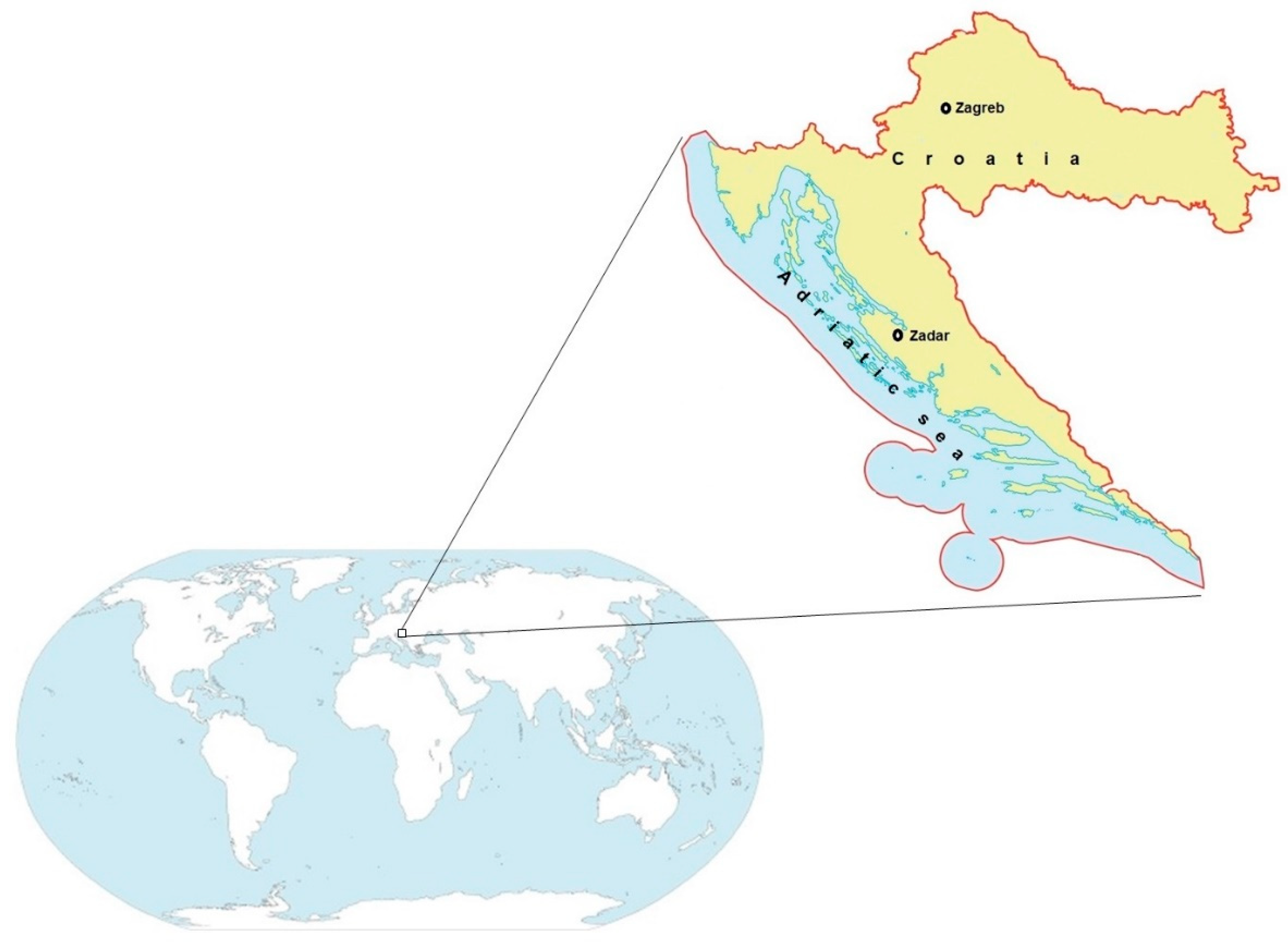 Biomolecules 10 00821 g001