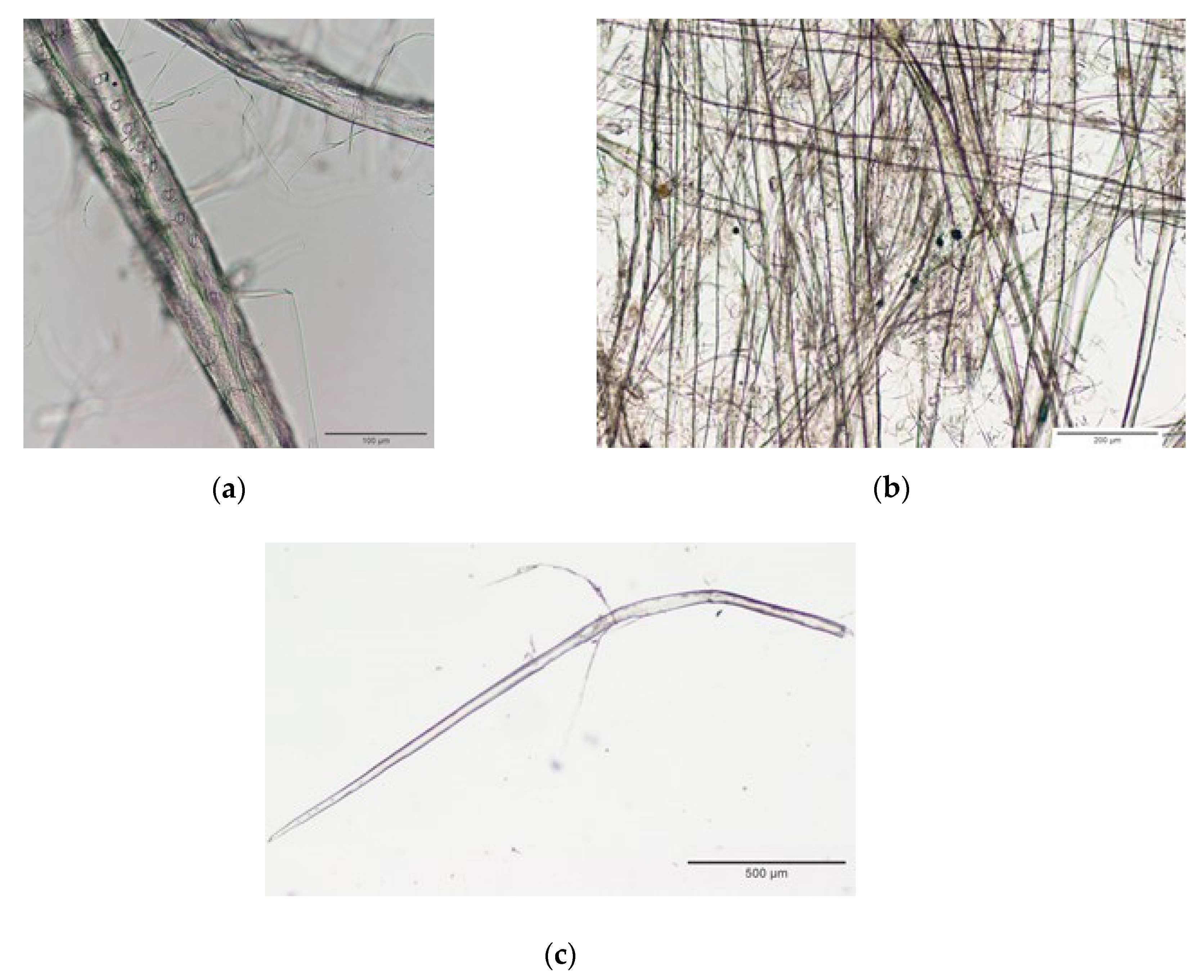 Biomolecules 10 00822 g001 Biomolecules 10 00822 g001