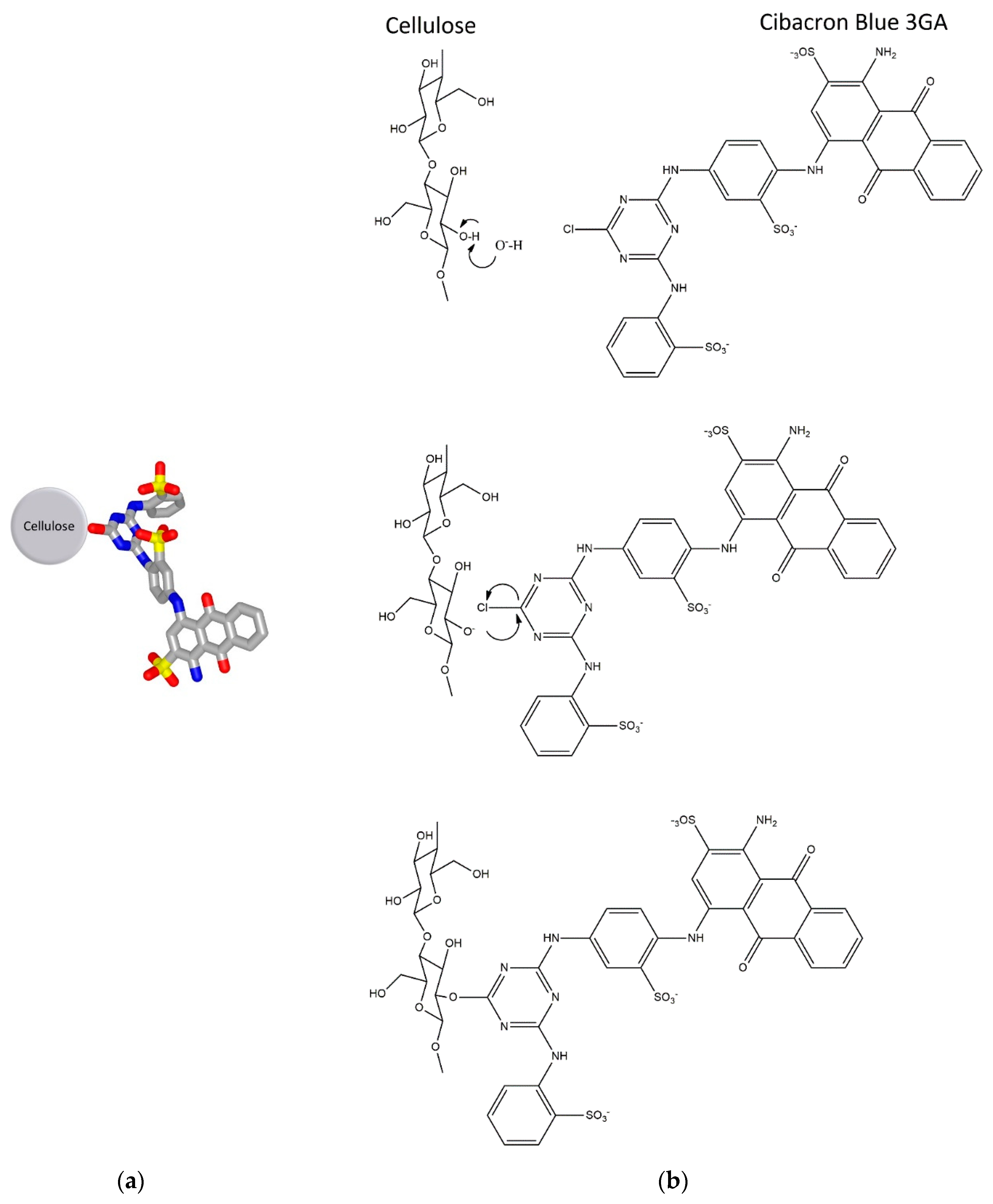 Biomolecules 10 00822 g002 Biomolecules 10 00822 g002