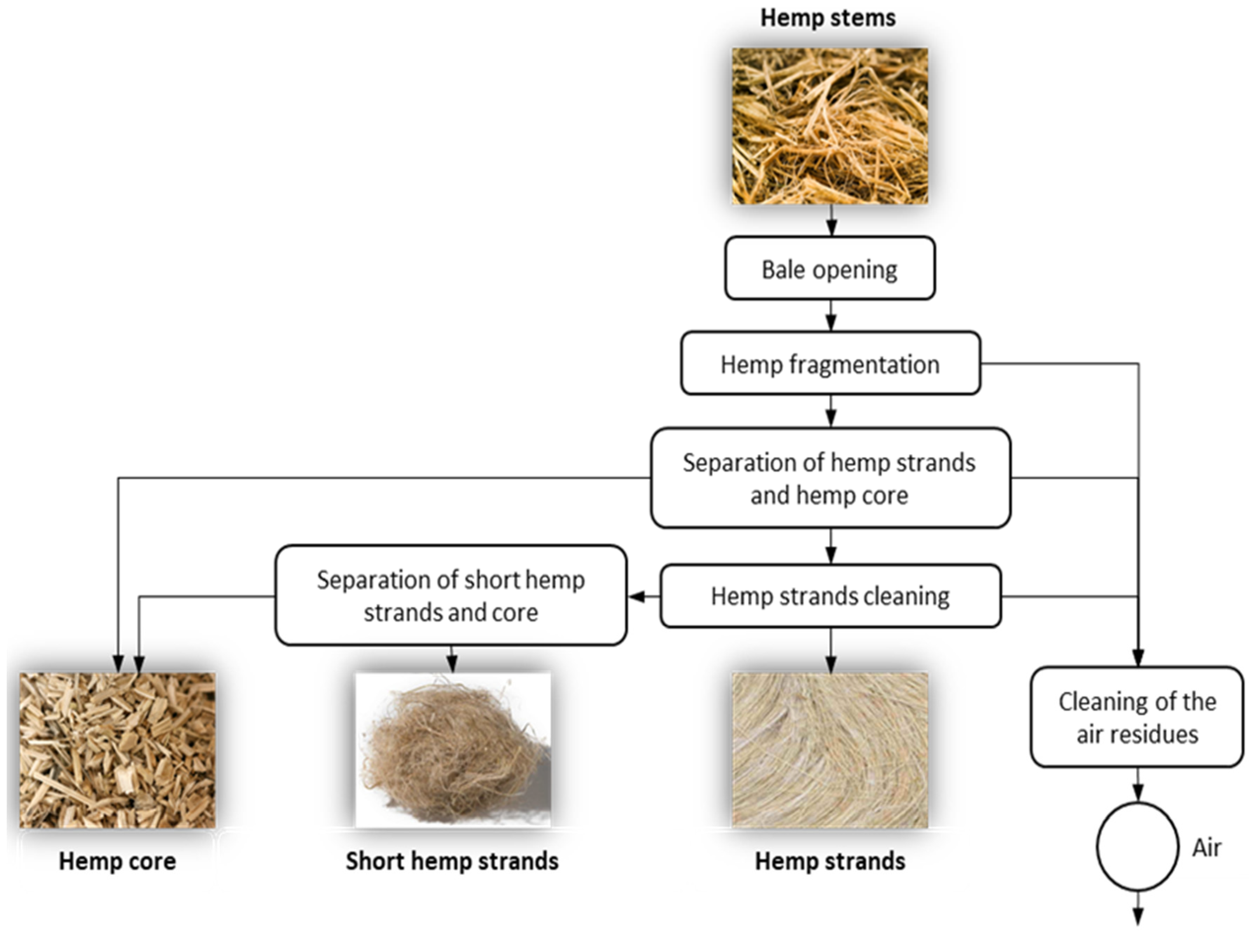 Biomolecules 10 00823 g001