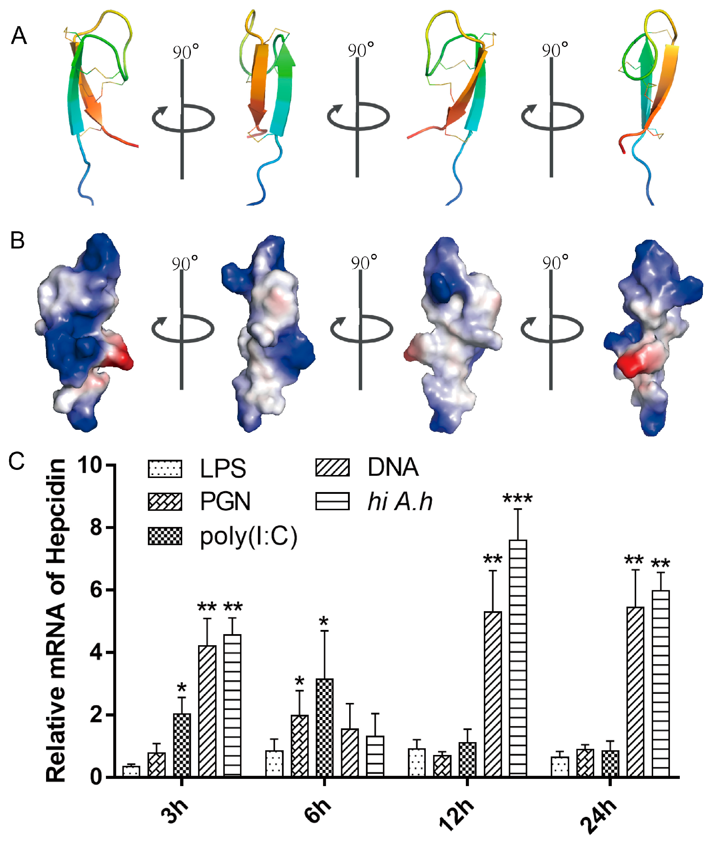 Biomolecules 10 00825 g001 Biomolecules 10 00825 g001