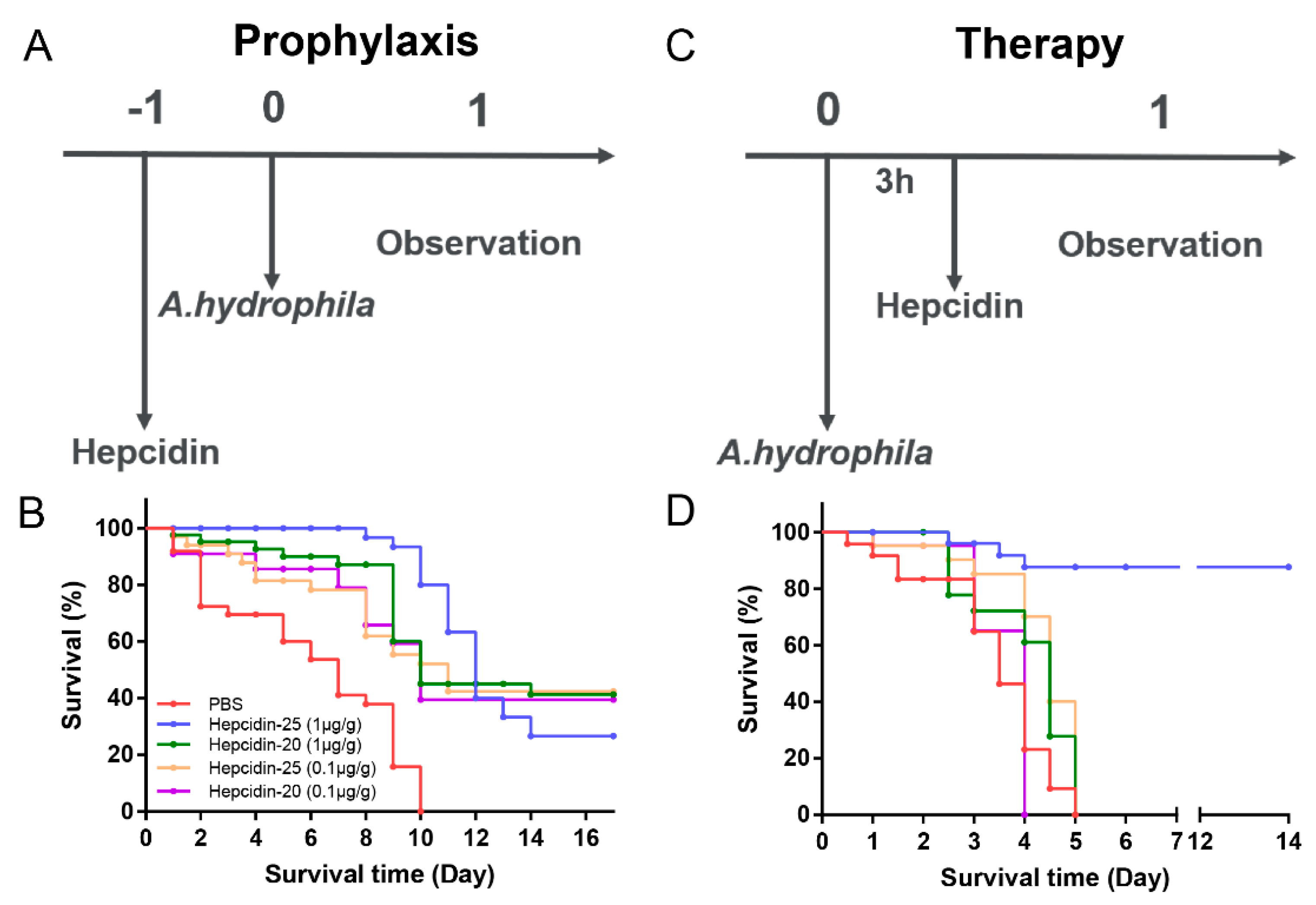 Biomolecules 10 00825 g008 Biomolecules 10 00825 g008