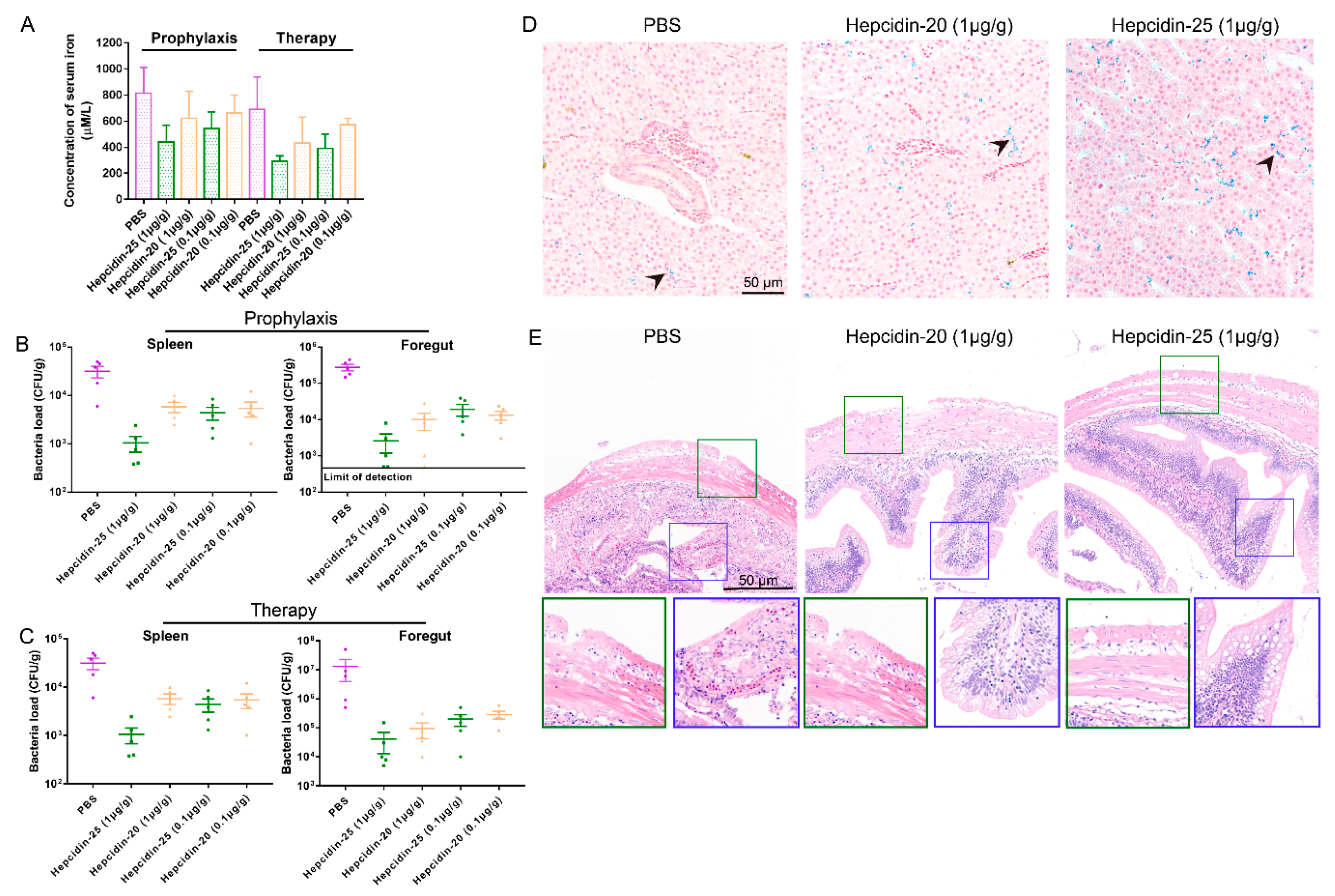 Biomolecules 10 00825 g009 Biomolecules 10 00825 g009