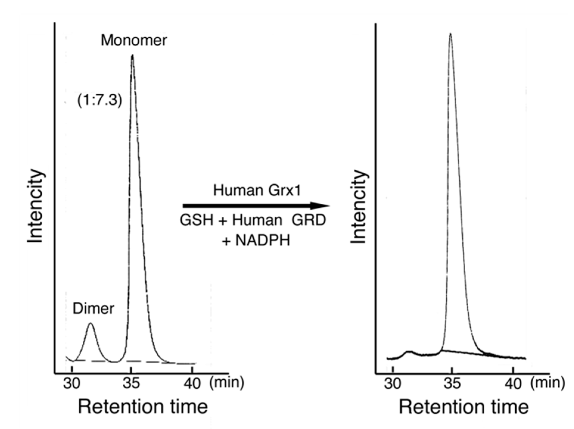 Biomolecules 10 00826 g007 Biomolecules 10 00826 g007