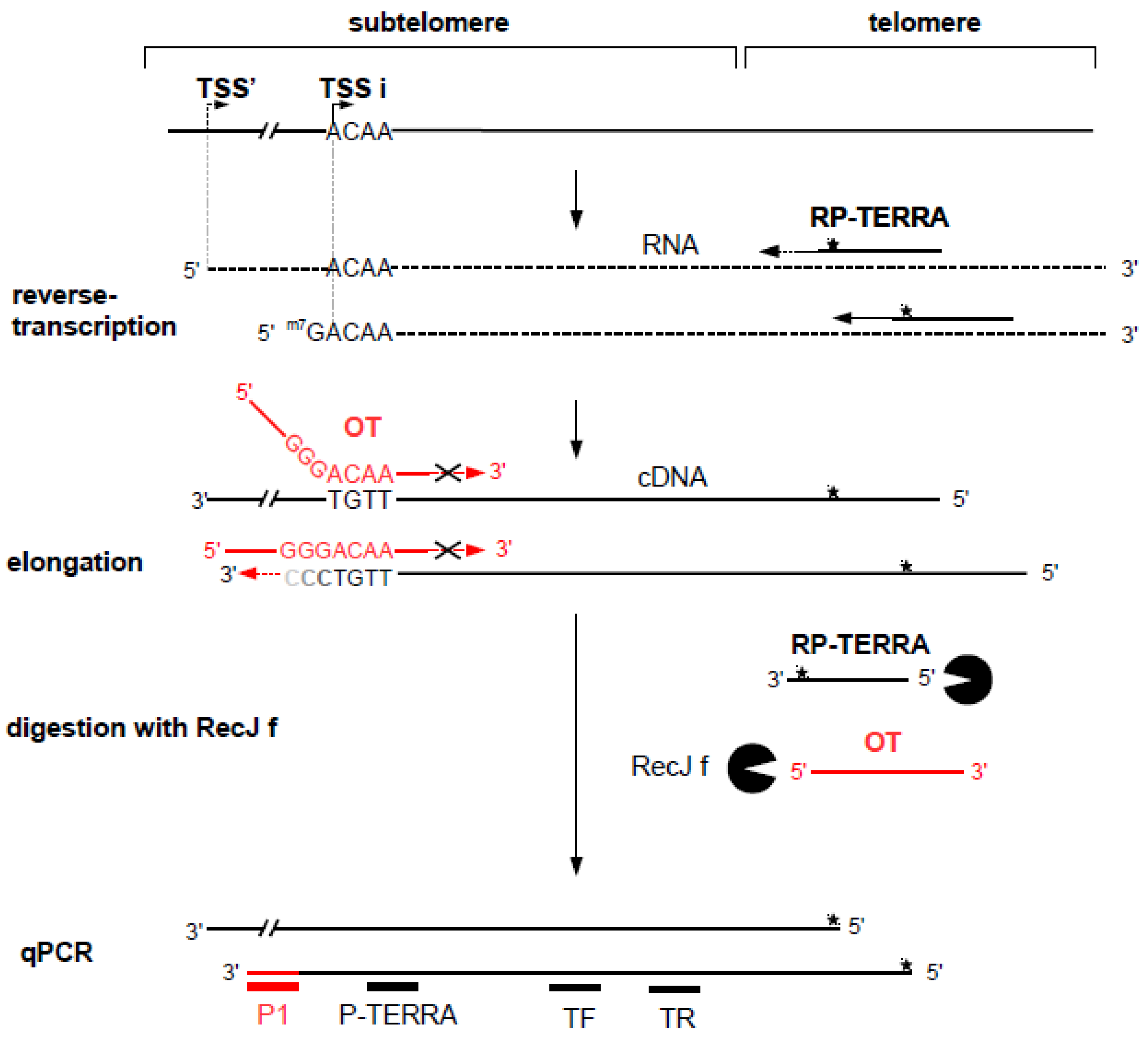 Biomolecules 10 00827 g002 Biomolecules 10 00827 g002