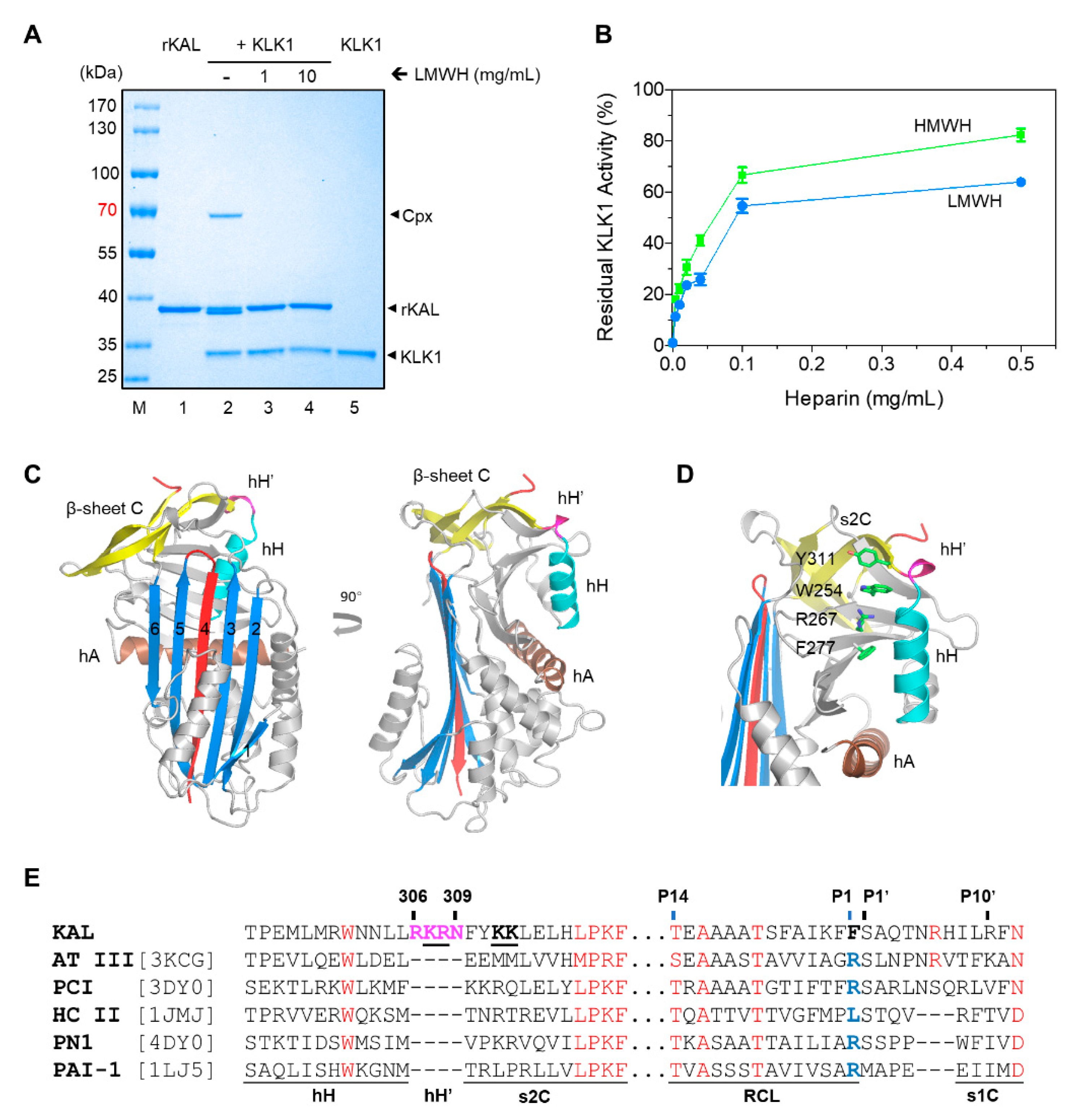 Biomolecules 10 00828 g001 Biomolecules 10 00828 g001
