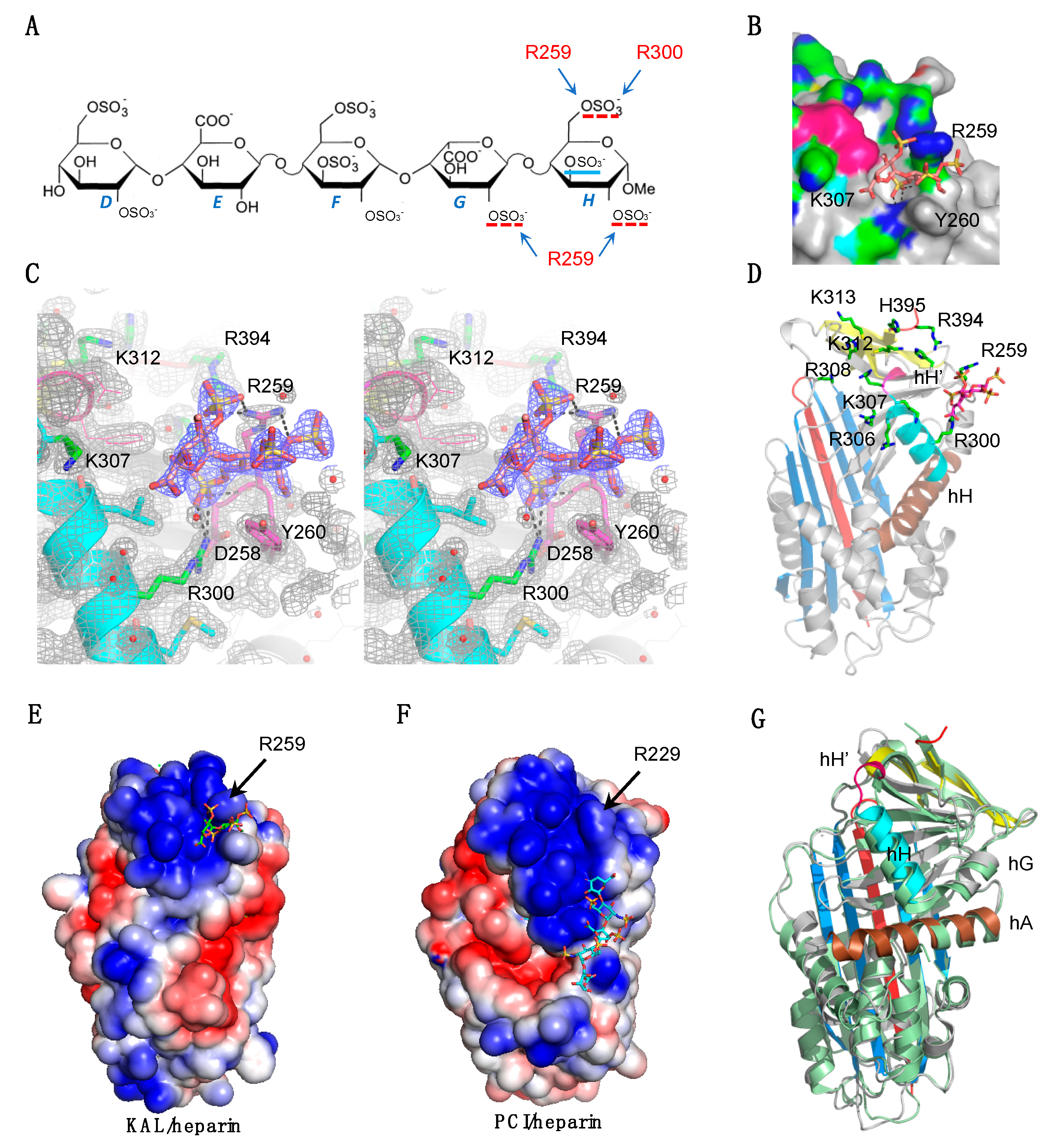 Biomolecules 10 00828 g002 Biomolecules 10 00828 g002