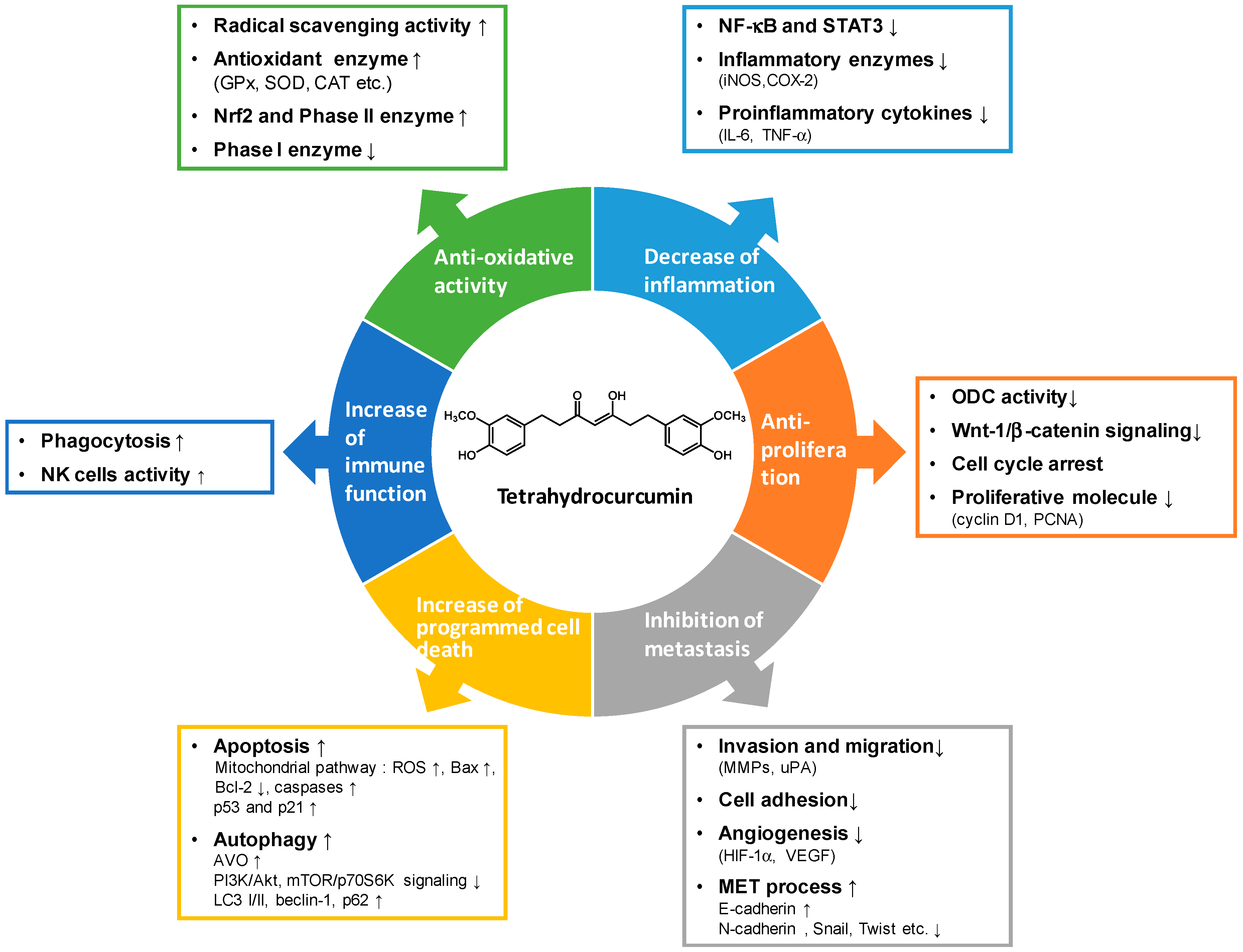 Biomolecules 10 00831 g003