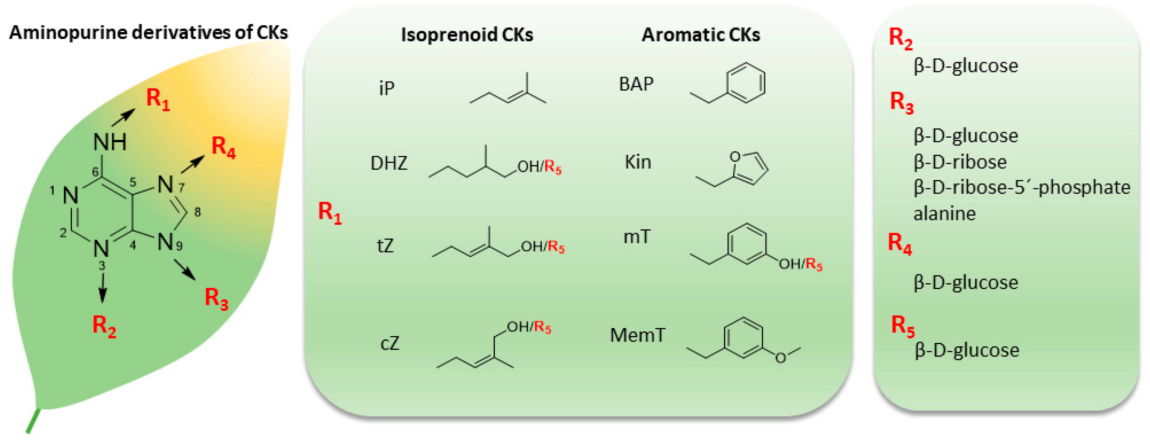 Biomolecules 10 00832 g001 Biomolecules 10 00832 g001