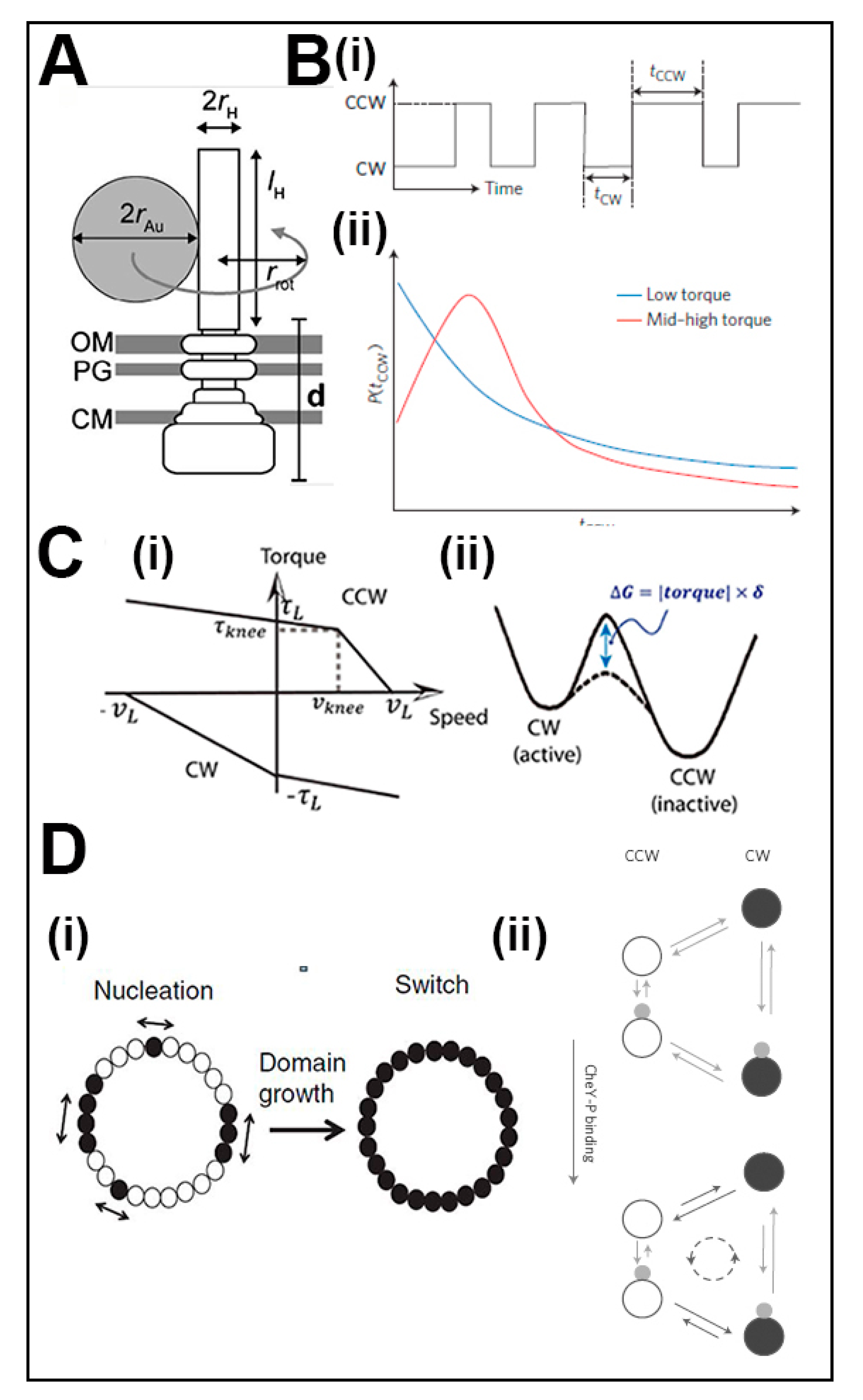 Biomolecules 10 00833 g002 Biomolecules 10 00833 g002