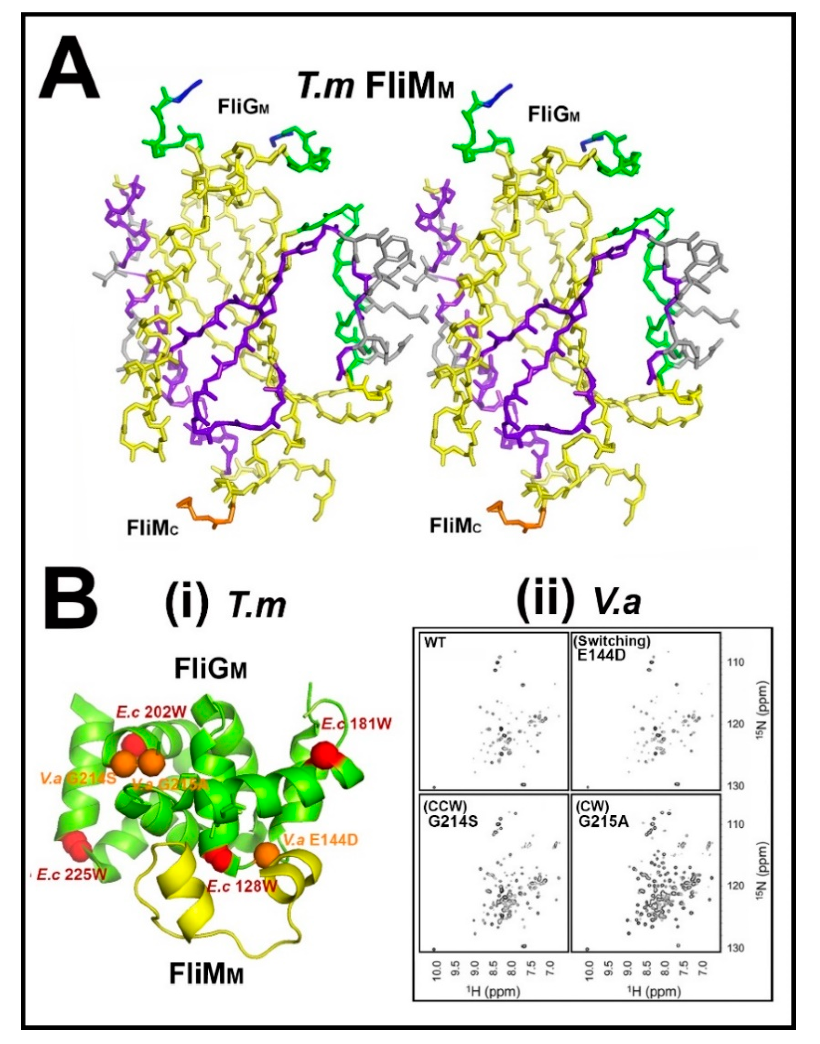 Biomolecules 10 00833 g003 Biomolecules 10 00833 g003