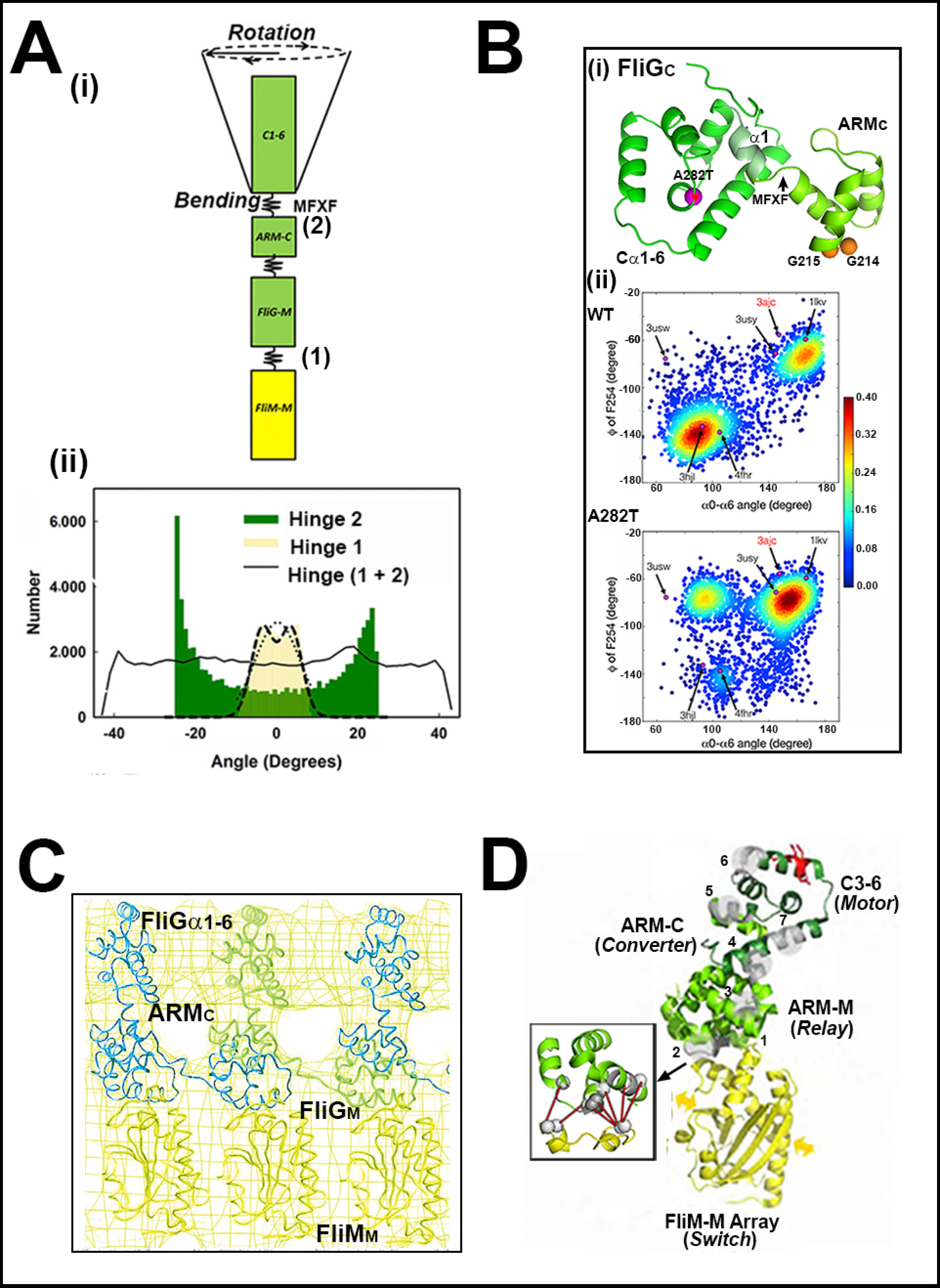 Biomolecules 10 00833 g005 Biomolecules 10 00833 g005