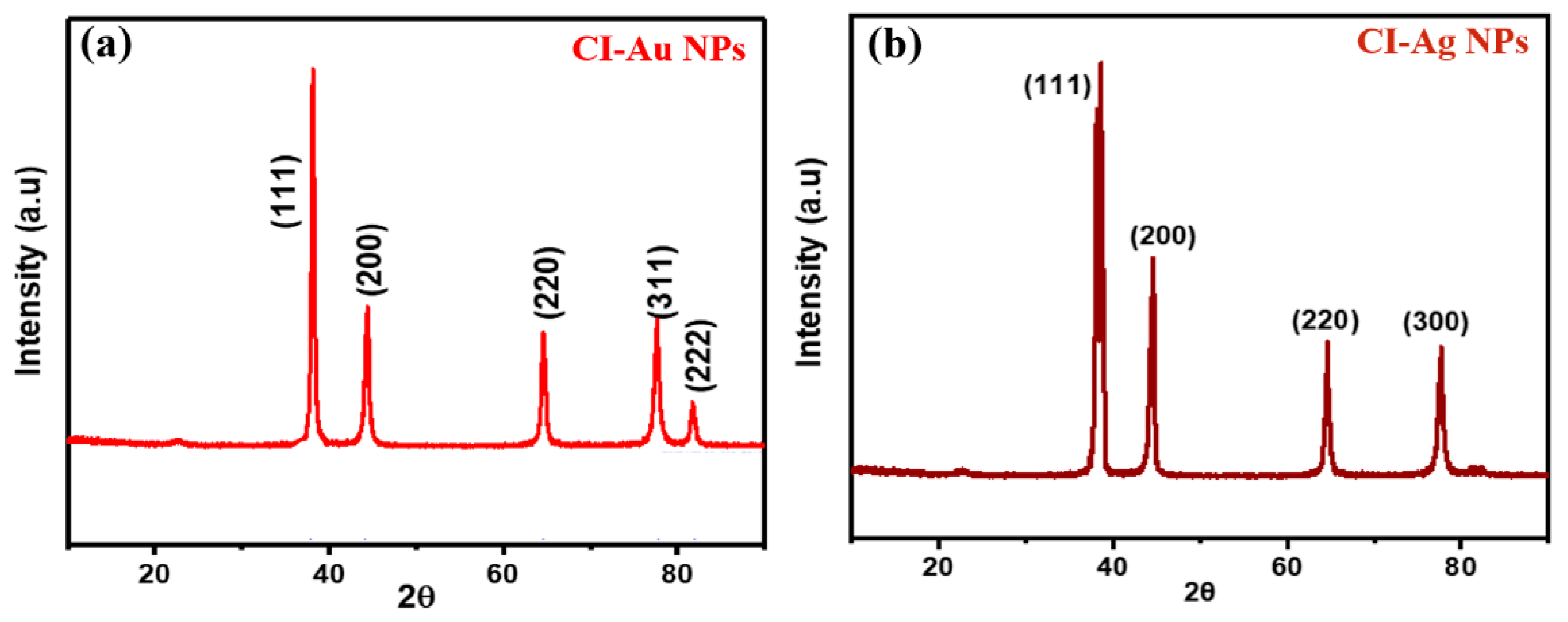Biomolecules 10 00835 g002 Biomolecules 10 00835 g002