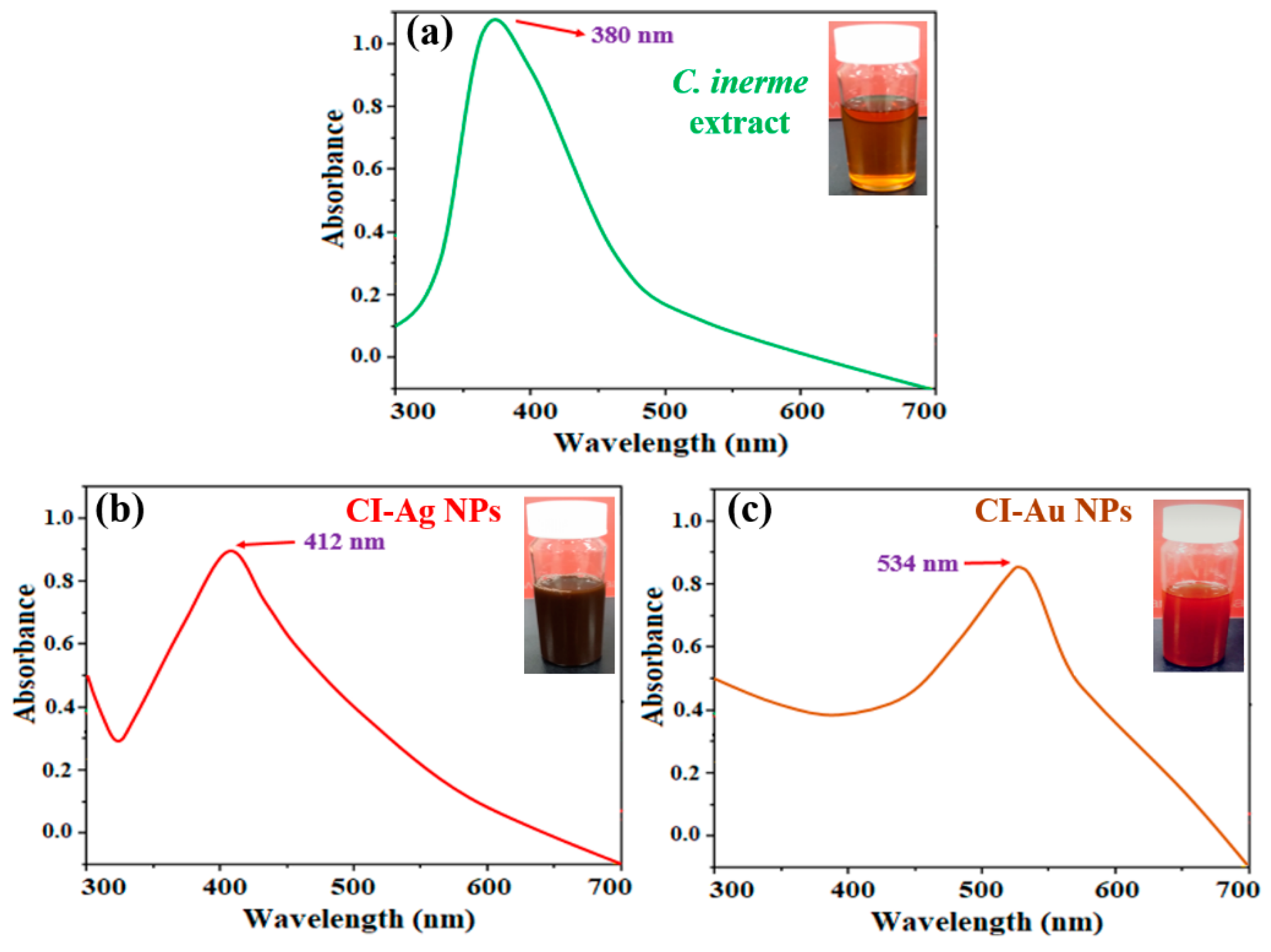 Biomolecules 10 00835 g004 Biomolecules 10 00835 g004